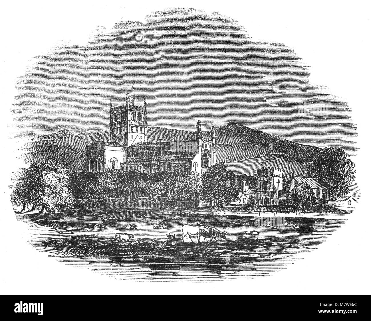 Vieh vor der Abteikirche von St. Maria, der Jungfrau, Tewkesbury, (gemeinhin als Tewkesbury Abbey bekannt), in der englischen Grafschaft Gloucestershire, England ist eine Pfarrkirche und einem ehemaligen Benediktinerkloster. Es ist eines der schönsten Beispiele normannischer Architektur in Großbritannien und hat wahrscheinlich die größte romanische Vierungsturm in Europa. Es ist ein Zentrum für den Gottesdienst seit dem 7. Jahrhundert, immer ein Priorat im 10. Das heutige Gebäude wurde im frühen 12. Jahrhundert begonnen. Stockfoto
