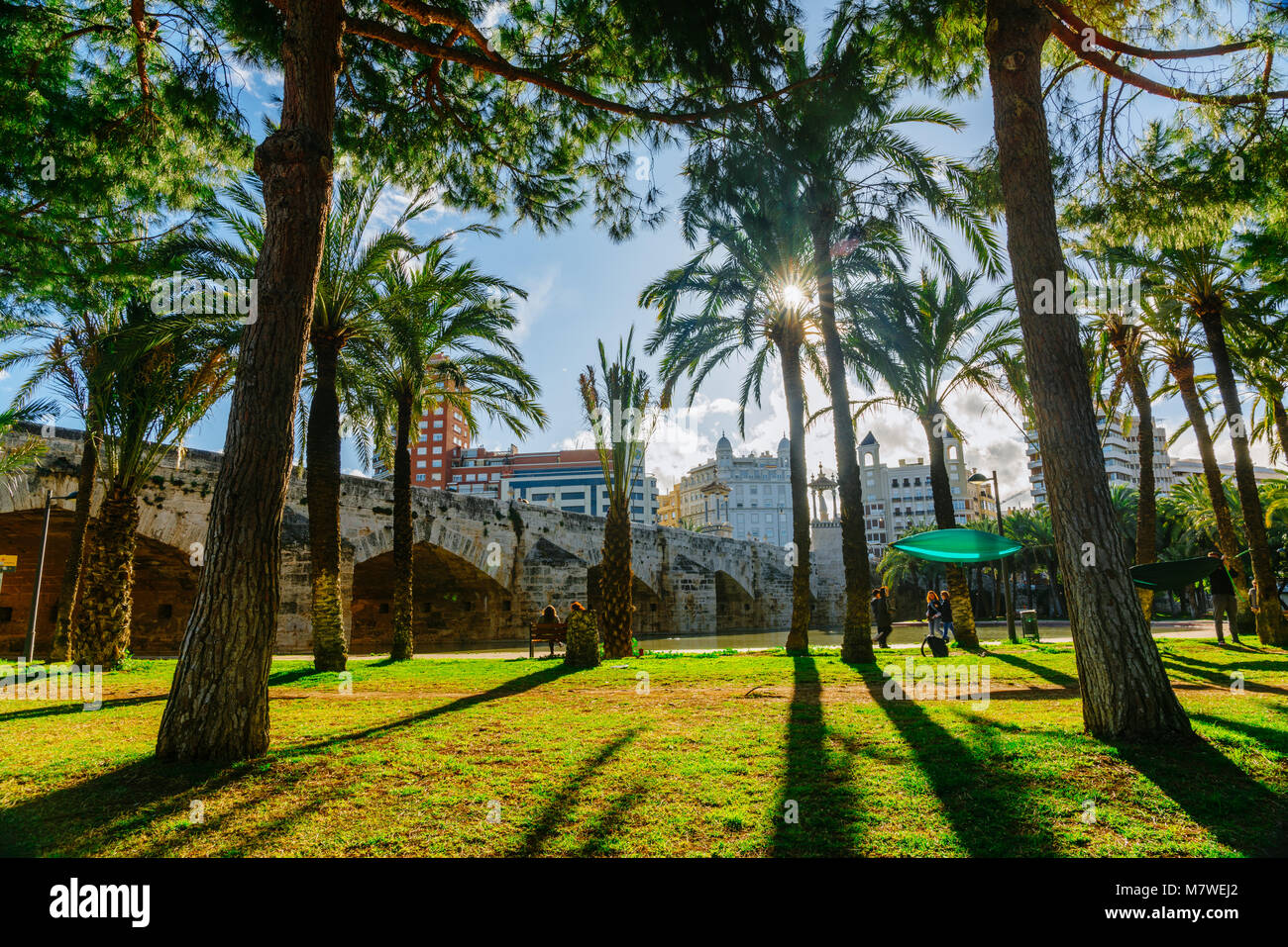 Turia Park während des Sonnenuntergangs und Fallas Urlaub in Valencia im Jahr 2018 Stockfoto