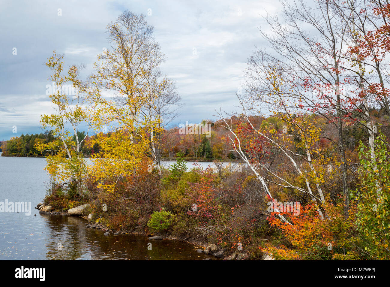 Tupper See im Herbst Laub, New York State, USA. Stockfoto