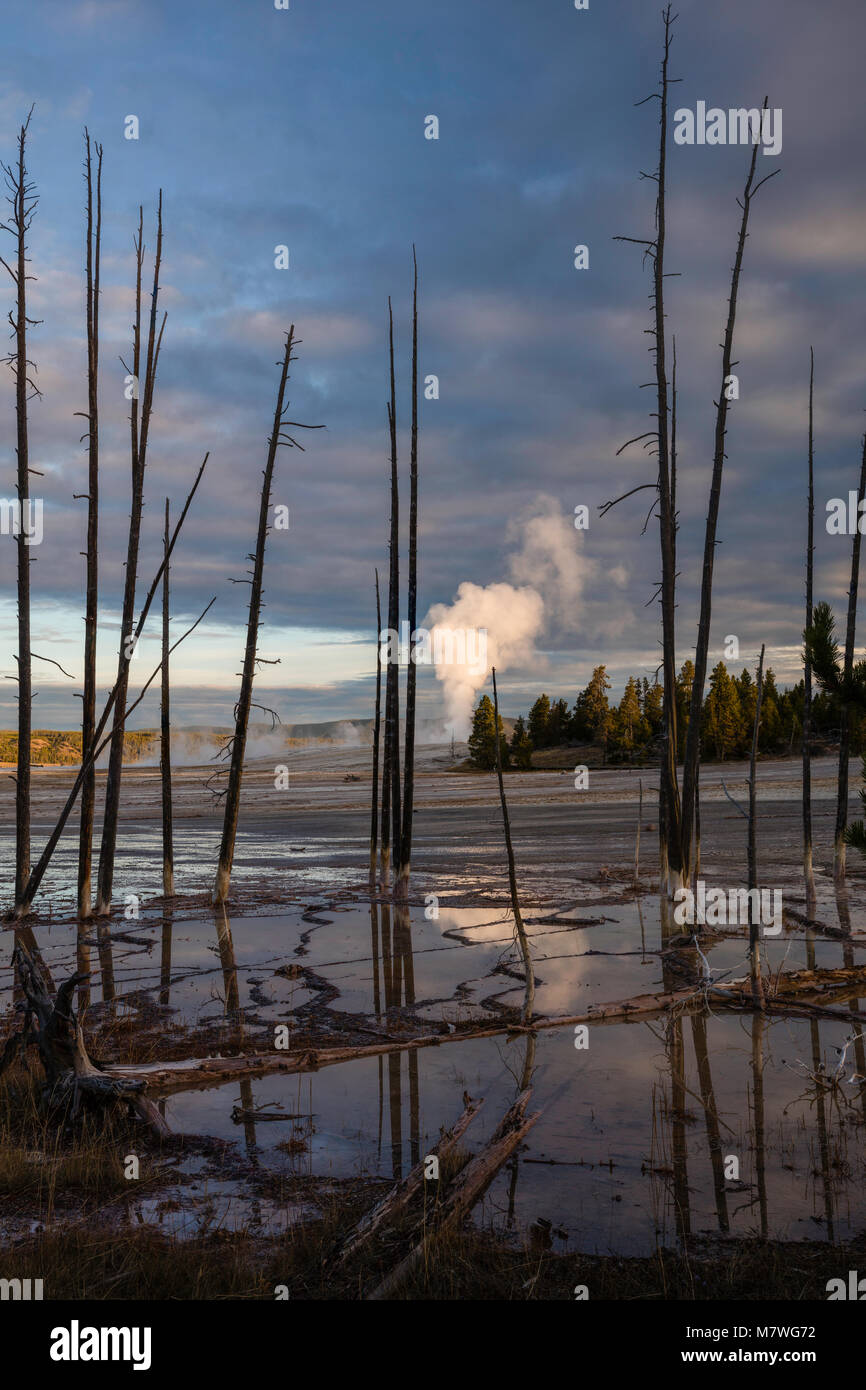 Reflektiert Geysir, Lower Geyser Basin, Yellowstone National Park, Wyoming Stockfoto