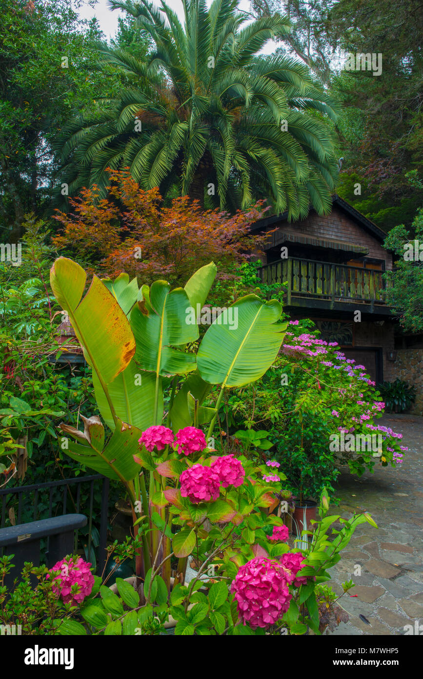 Auffahrt Details, Zypressen Garten, Mill Valley, Kalifornien Stockfoto