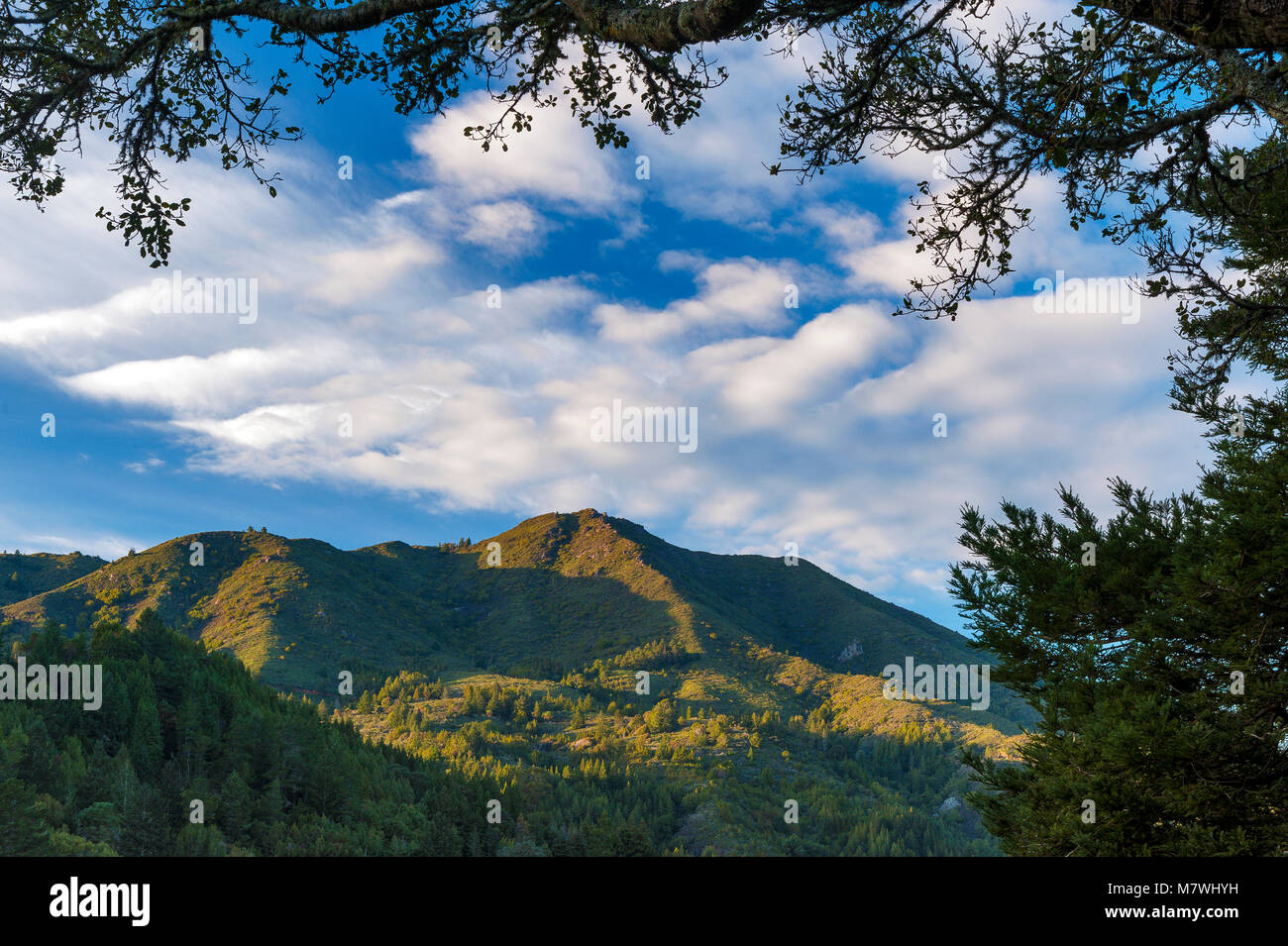Mount Tamalpais, Mount Tamalpais State Park, Marin County, Kalifornien Stockfoto