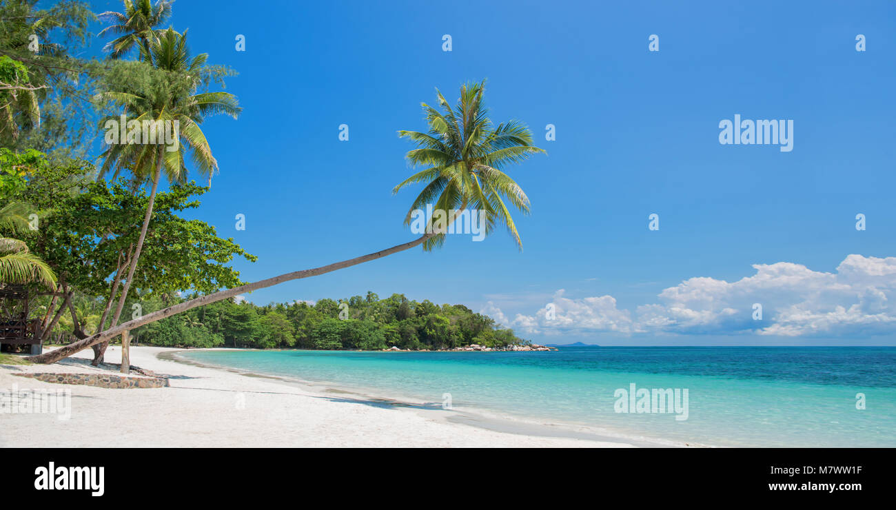 Tropical Beach Panorama mit einem schiefen Palme, Bintan Island in der Nähe von Singapur, Indonesien Stockfoto