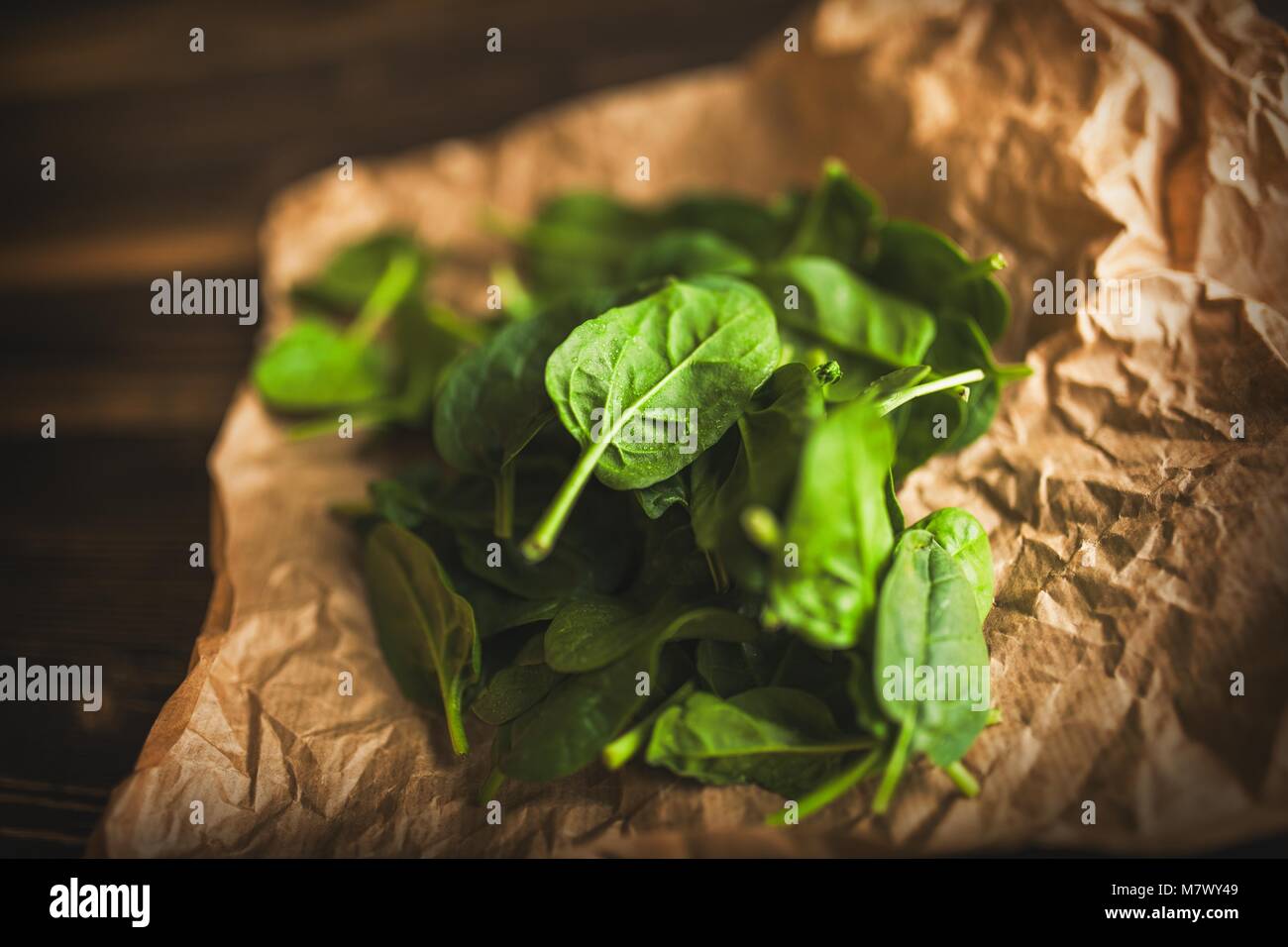 Baby-Blattspinat Stockfoto