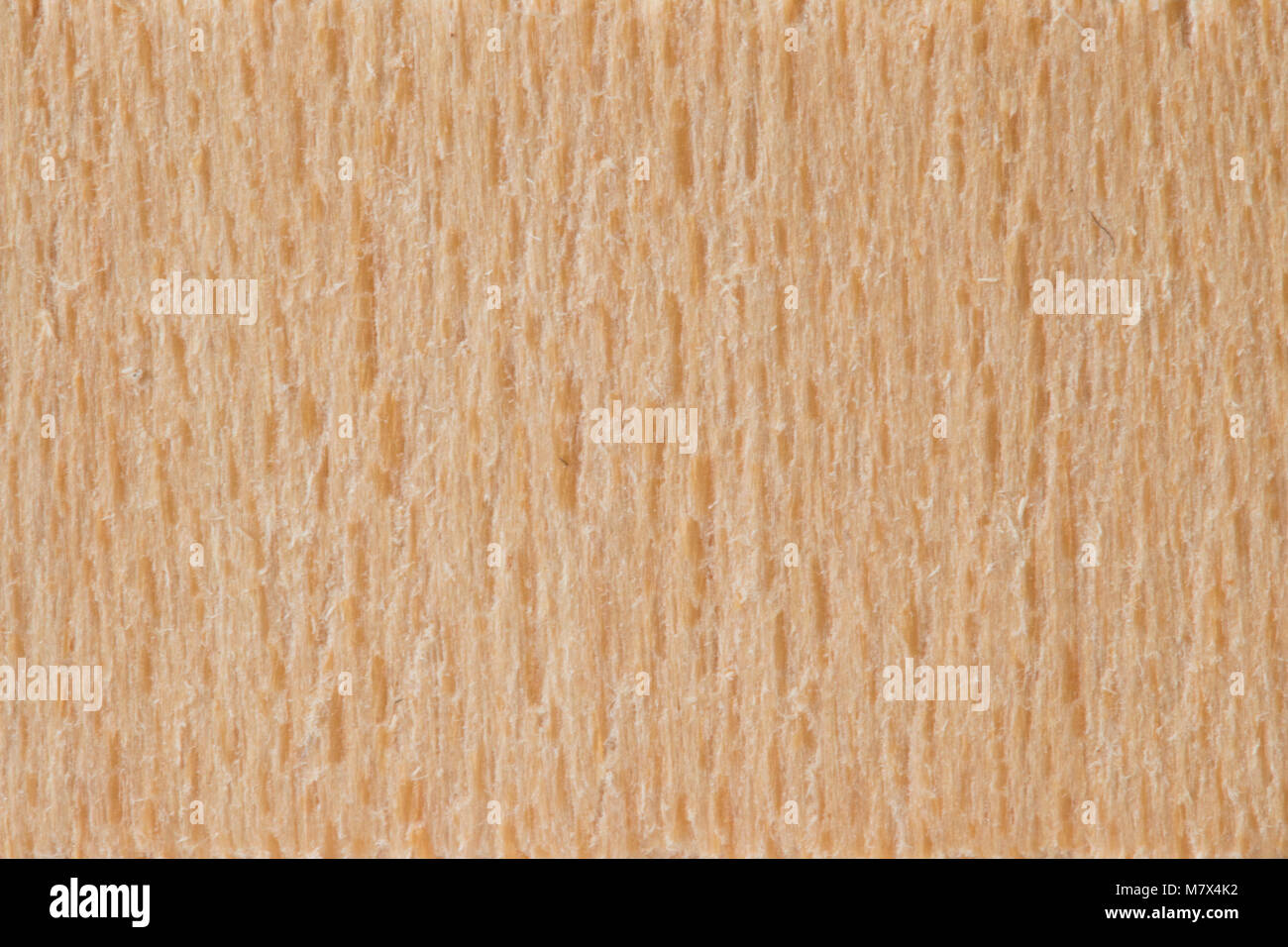 Holz Textur. Oberfläche von Holz Hintergrund für Design Stockfoto