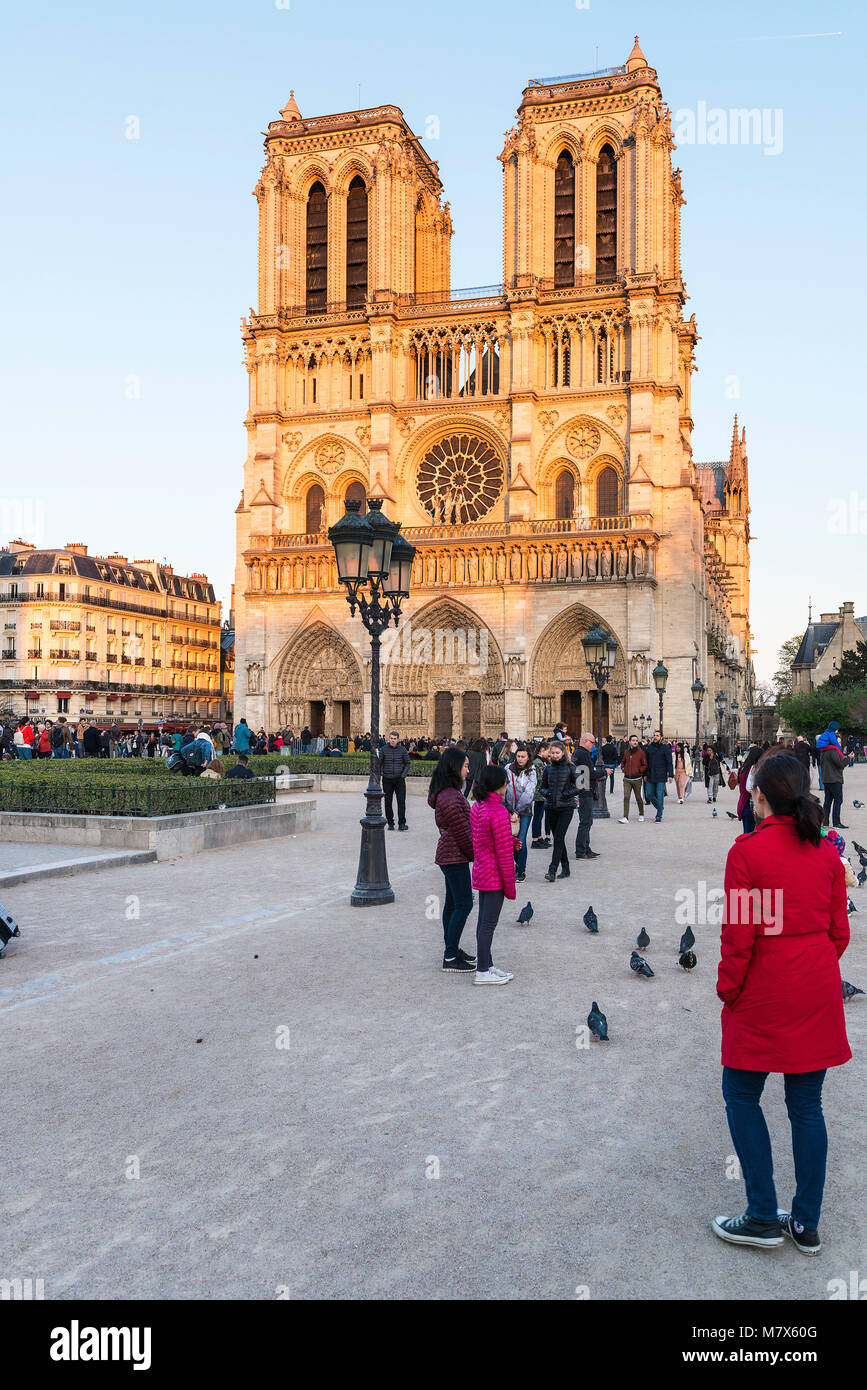 Paris (Frankreich): Fassade von Notre-Dame de Paris auf der Ile de la Cite, im 4. Arrondissement (Bezirk) Stockfoto