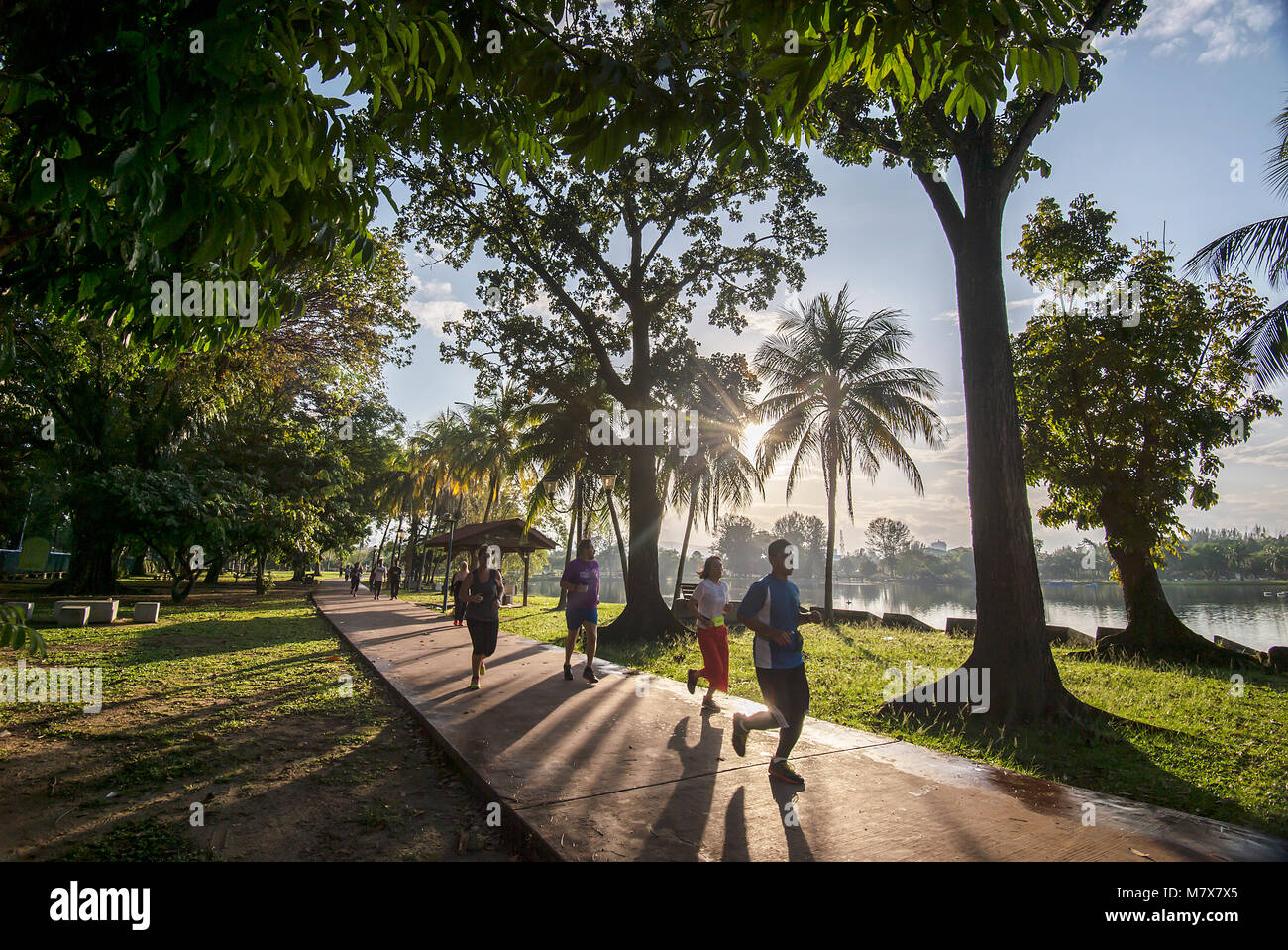 Die titiwangsa Lake Gardens ist ein Freizeitpark für die Öffentlichkeit. Es hat ein paar sehr große Seen in der Mitte des Parks in der Mitte von Kuala Lumpur. Stockfoto