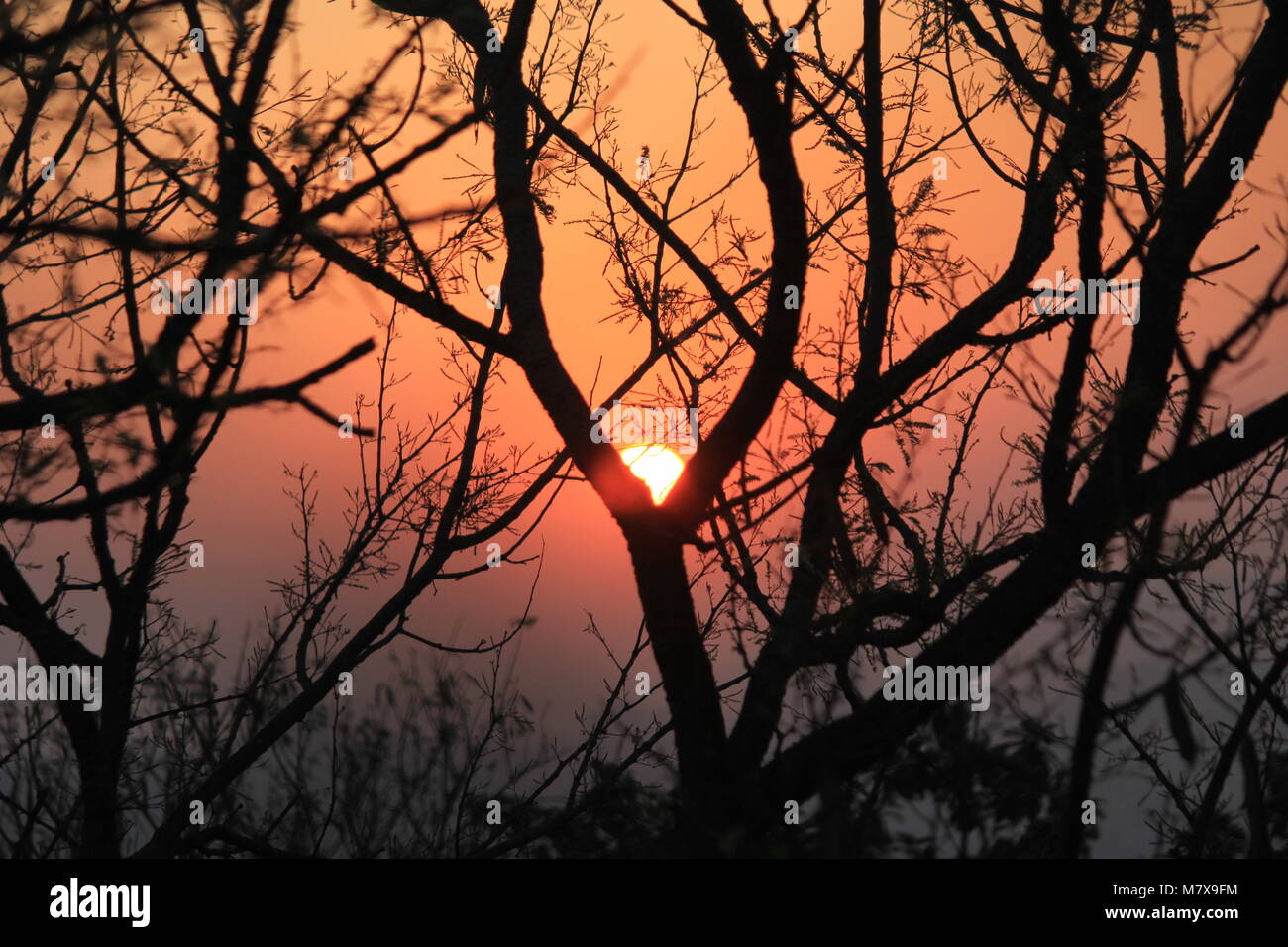 Schönen SONNENAUFGANG UND WÄLDER Stockfoto