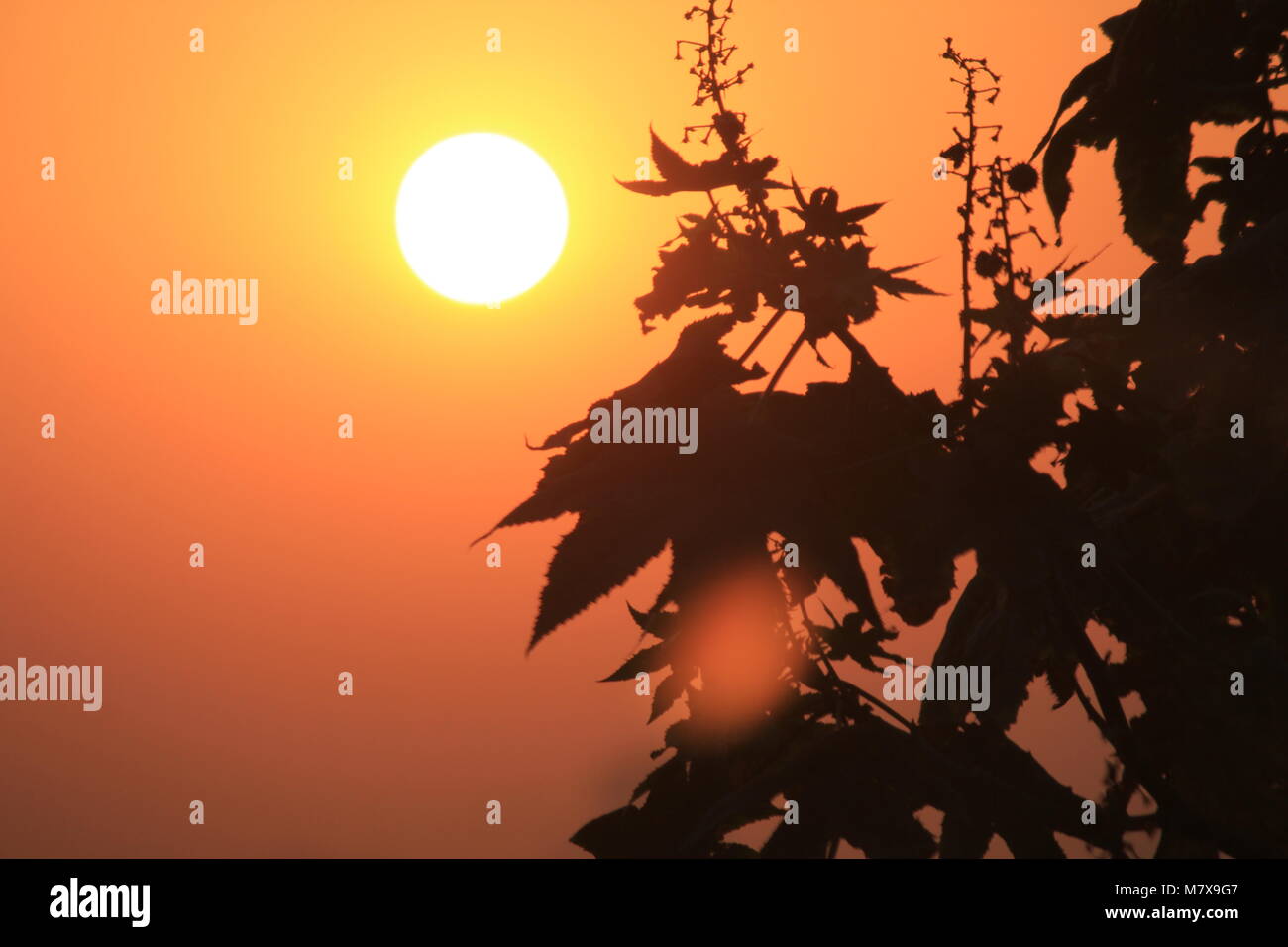 Schönen Sonnenaufgang und Sonnenuntergang Stockfoto