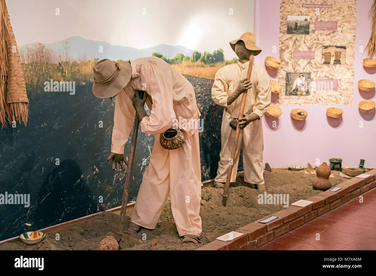 San Juan Guelavía, Oaxaca, Mexiko - eine Ausstellung in der Gemeinschaft Museum zeigt frühe landwirtschaftliche Praktiken in der Region. Stockfoto