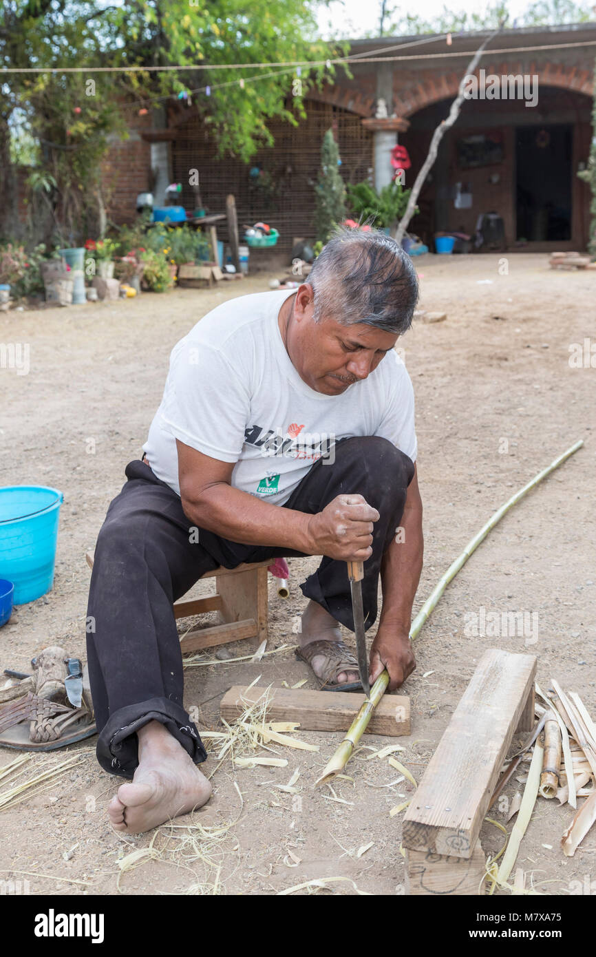 San Juan GuelavÃ-a, Oaxaca, Mexiko - Benito JosÃ© MartÃ-nez bereitet Carrizo, ein Bambus-fluss Reed, aus dem er Körbe flechten. Stockfoto
