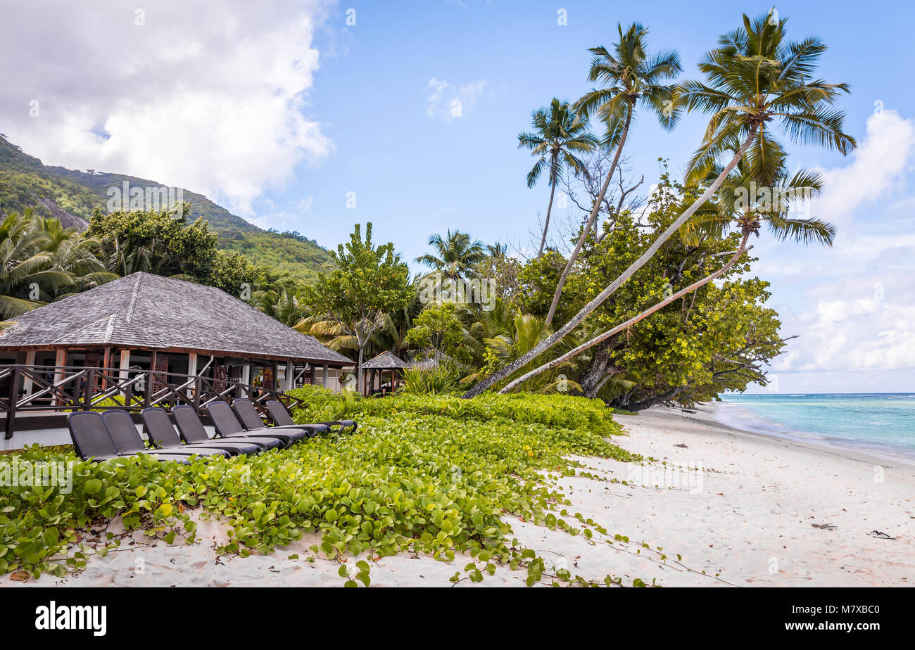 Liegestühle am Paradise Beach, Seychellen Stockfoto