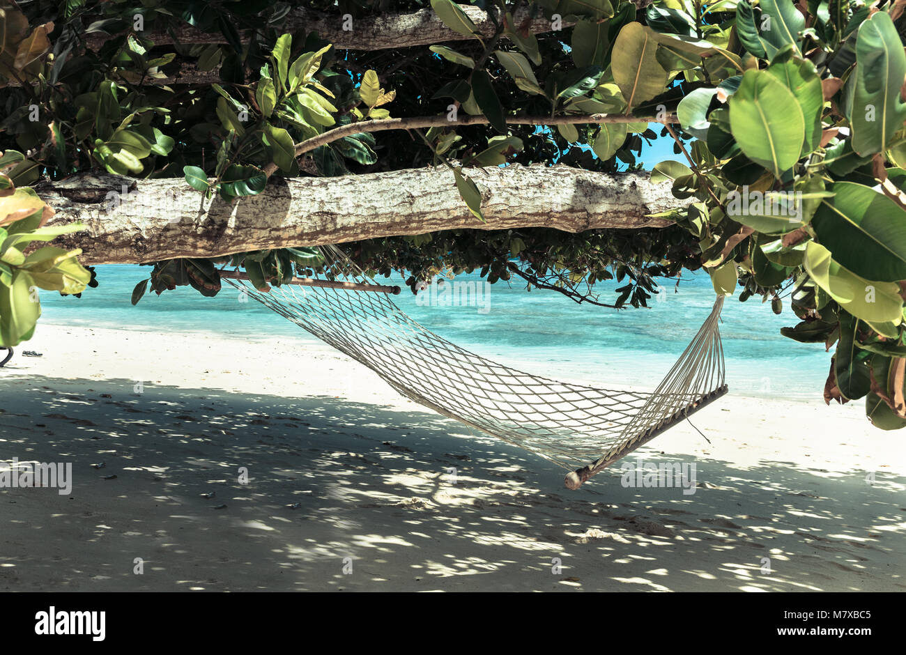 Hängematte am Paradise Beach auf Silhouette Island, Seychellen Stockfoto