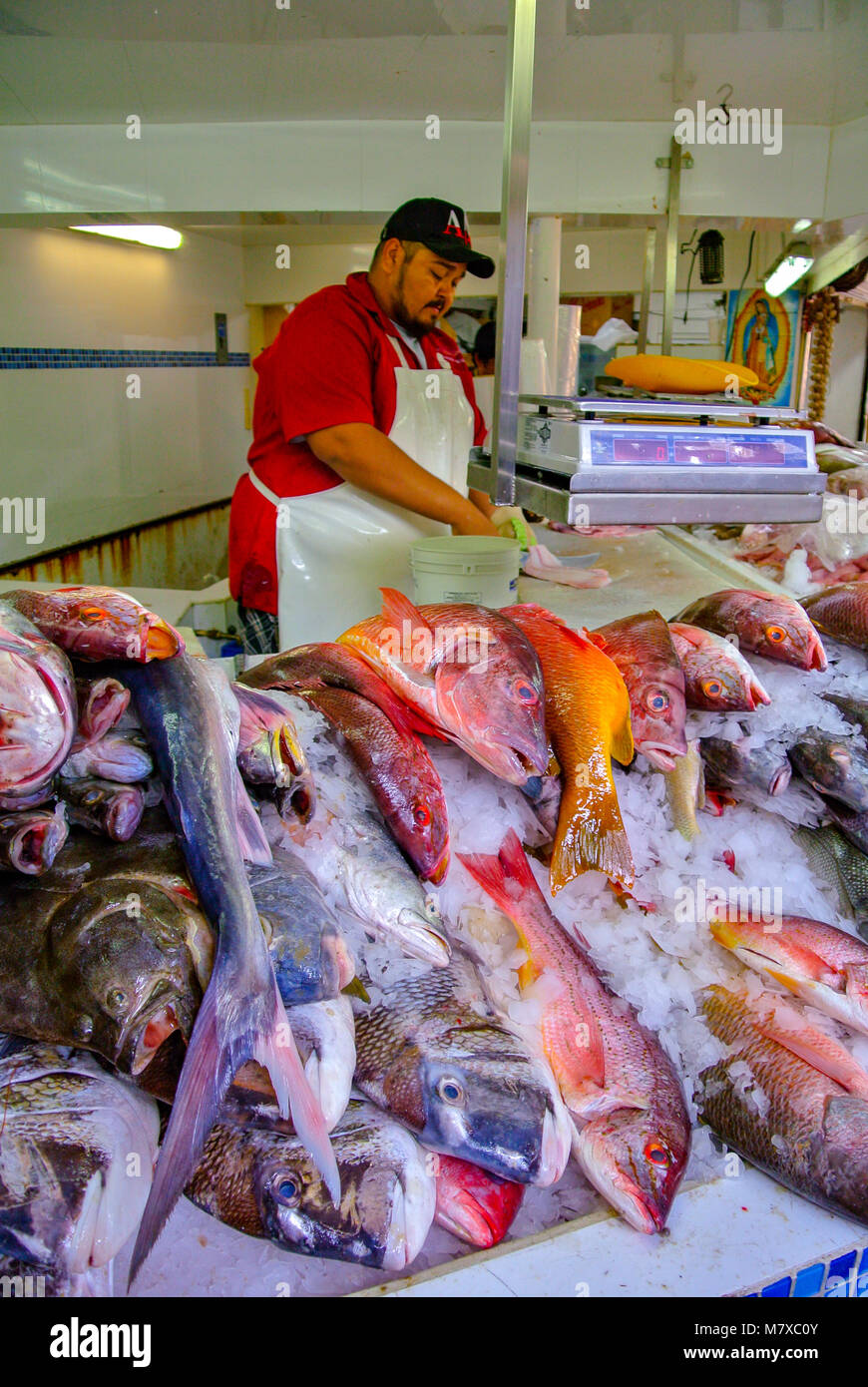 Puerto Vallarta, Jalisco, Mexiko, Ein mexikanischer Mann, der Fisch beim Fischhändler zubereitet. Nur Editorial. Stockfoto