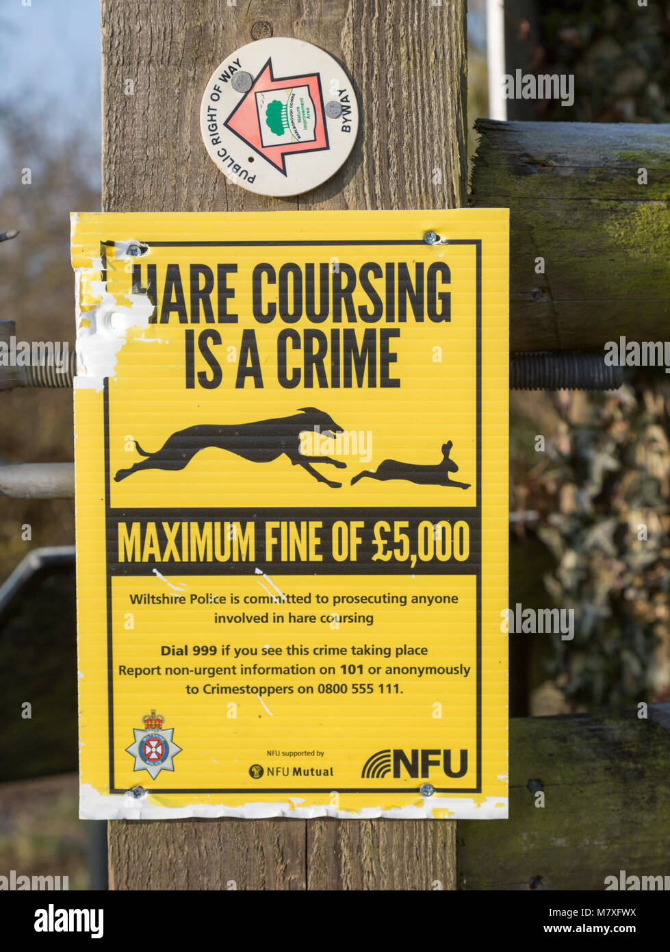Hase Coursing ist ein Verbrechen NFU, National Farmers Union bemerken, Wiltshire, England, Großbritannien Stockfoto