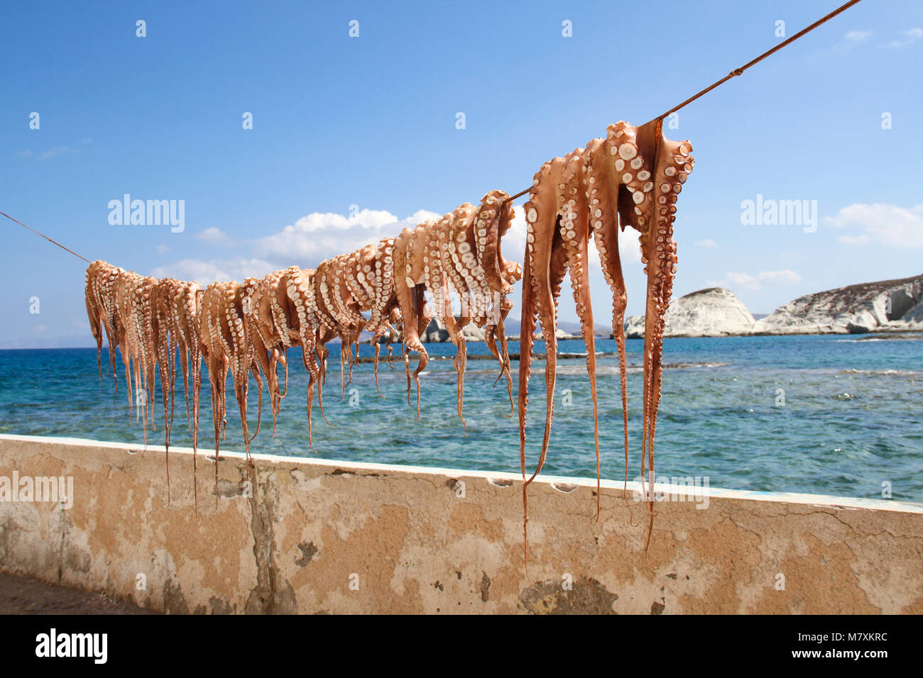 Eine Reihe von Kraken in der Sonne im Dorf Mandrakia, Milos, Kykladen, Griechenland getrocknet Stockfoto