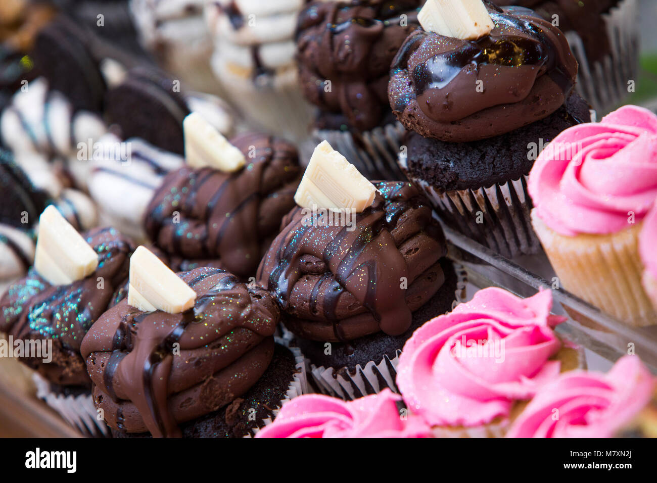 Auswahl von Muffins. Stockfoto