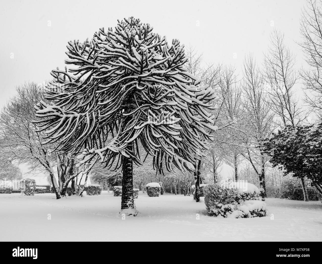 Winter in South Wales Stockfoto Winter in South Wales Stockfoto