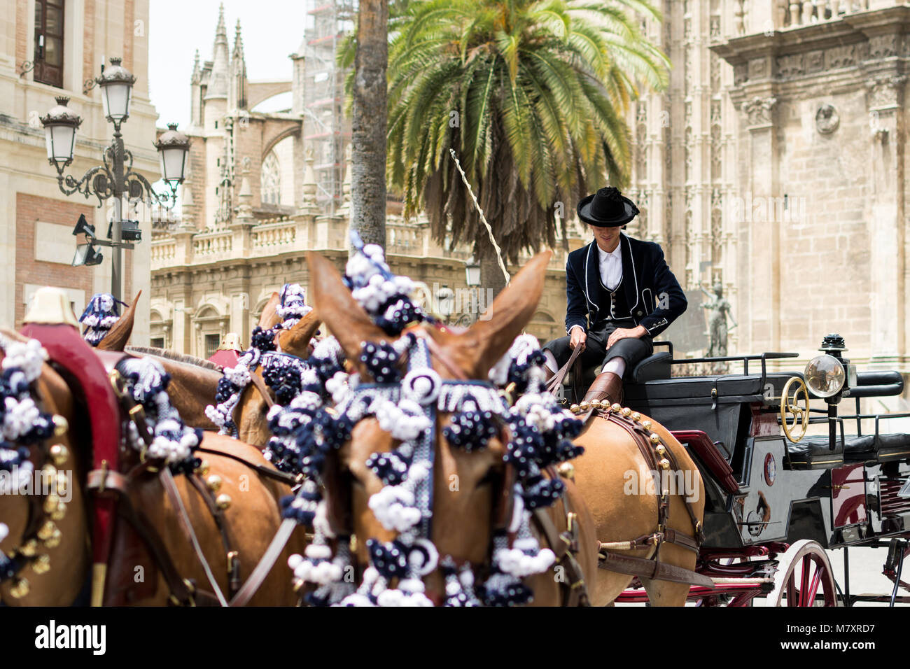 Sevilla, Spanien - Mai 2017: Porträt einer jungen Kutscher in Black hat während der berühmten Sevilla Feria Festival Stockfoto