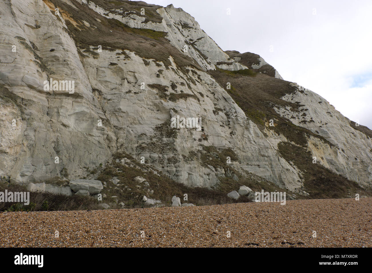 Blick auf queller Hoe, weißen Klippen von Dover, Kent Stockfoto