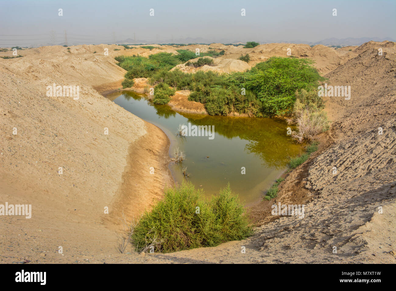 Wüste See Stockfoto