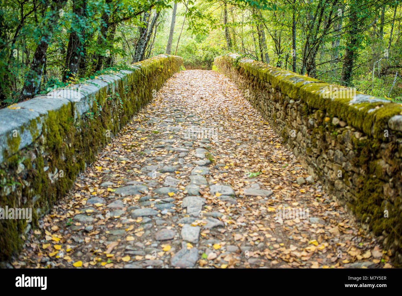 Paisajes de la Sierra de Francia en el Sur de Salamanca (España) Stockfoto