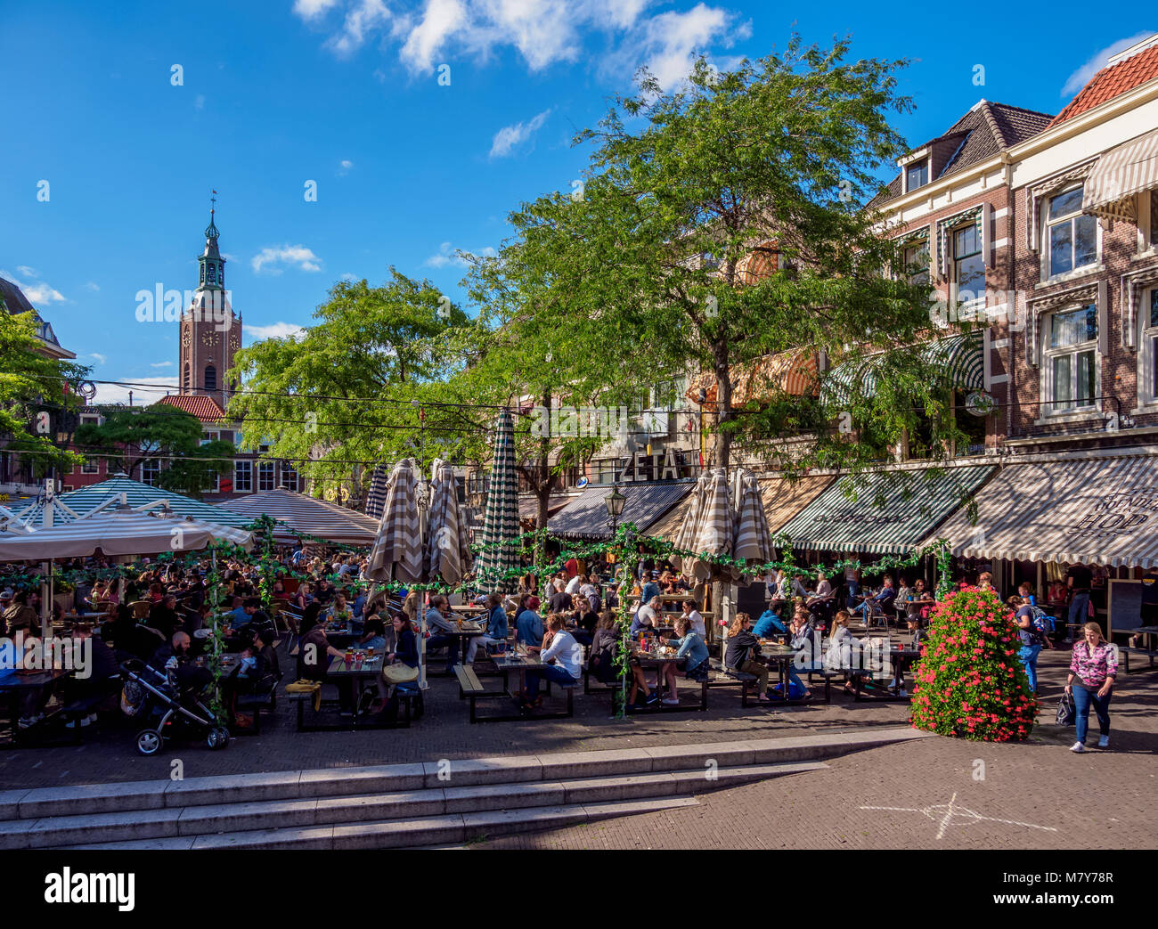 Grote Markt, Den Haag, Südholland, Niederlande Stockfoto