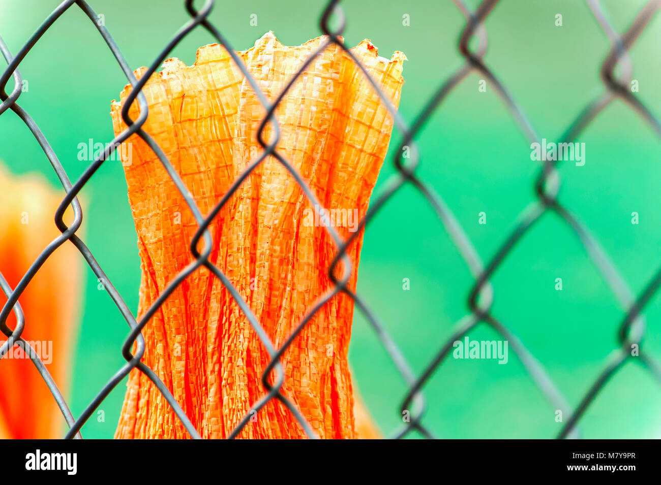 Ein Abschnitt von Orange tarp hinter einem Maschendrahtzaun. Stockfoto