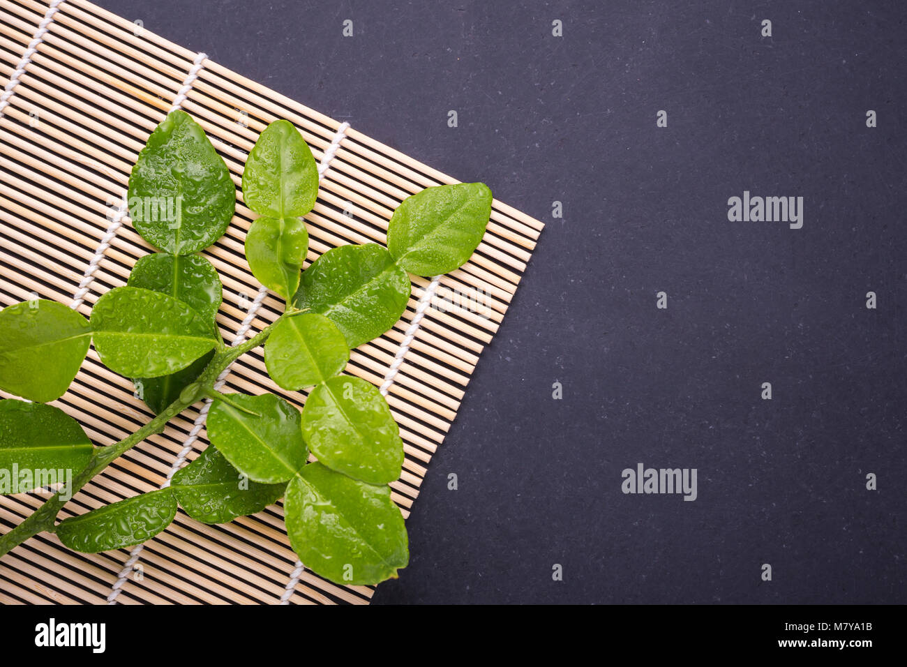 Frische Blätter der Bergamotte Baum oder kaffernlimette Blätter auf Schwarz Stein Tabelle Hintergrund. Ansicht von oben Stockfoto