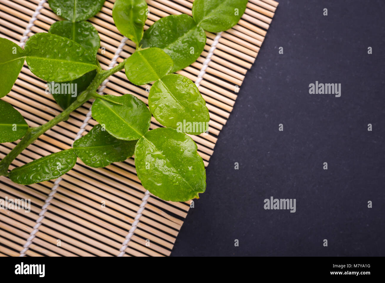 Frische Blätter der Bergamotte Baum oder kaffernlimette Blätter auf Schwarz Stein Tabelle Hintergrund. Ansicht von oben Stockfoto