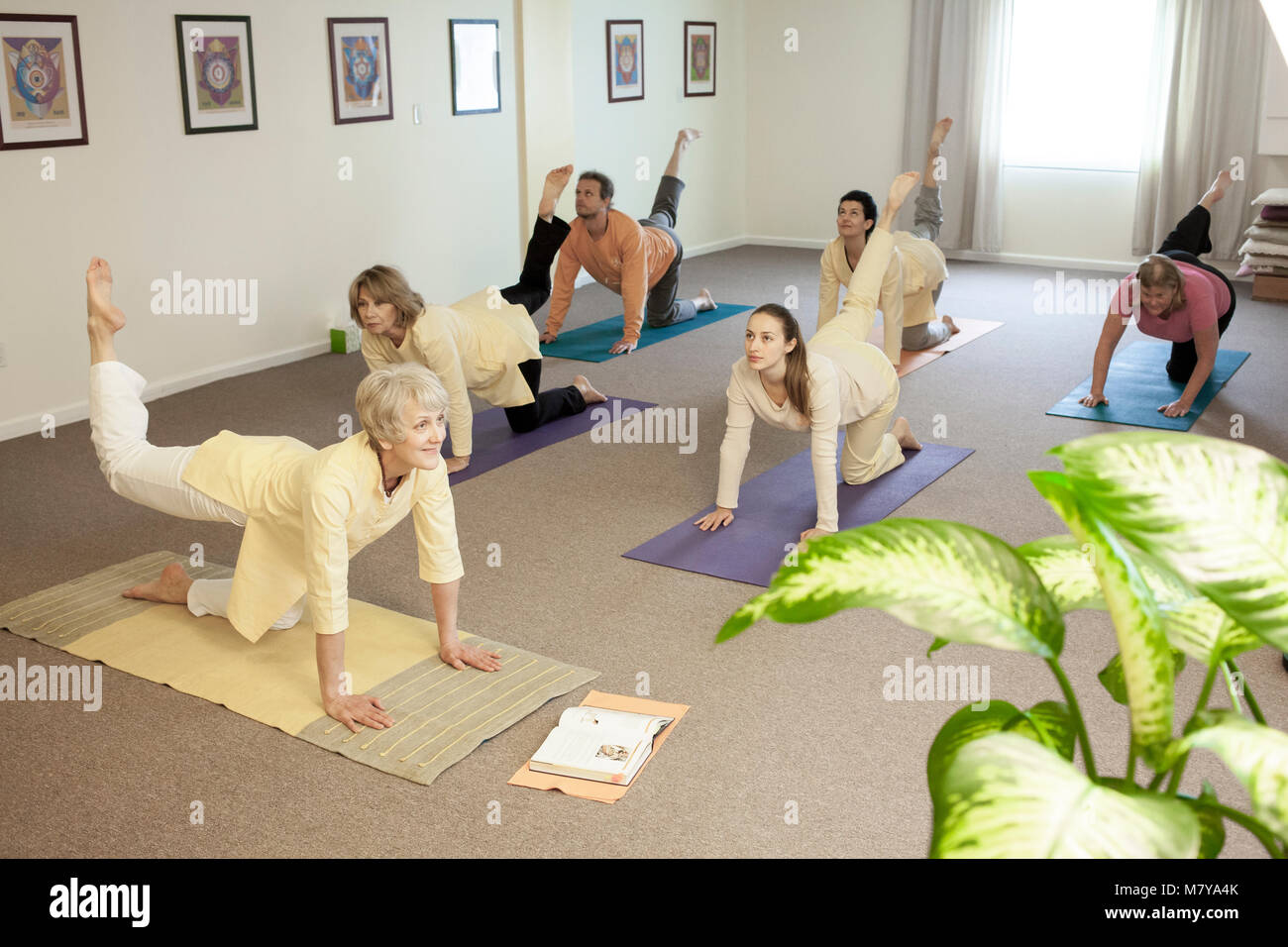 Menschen üben vyagrasana - Tiger im Yoga Klasse Pose von erfahrenen und zertifizierten Yogalehrer geleitet. Holding in Pose auf Ihre Yoga Matten auf dem Auto Stockfoto