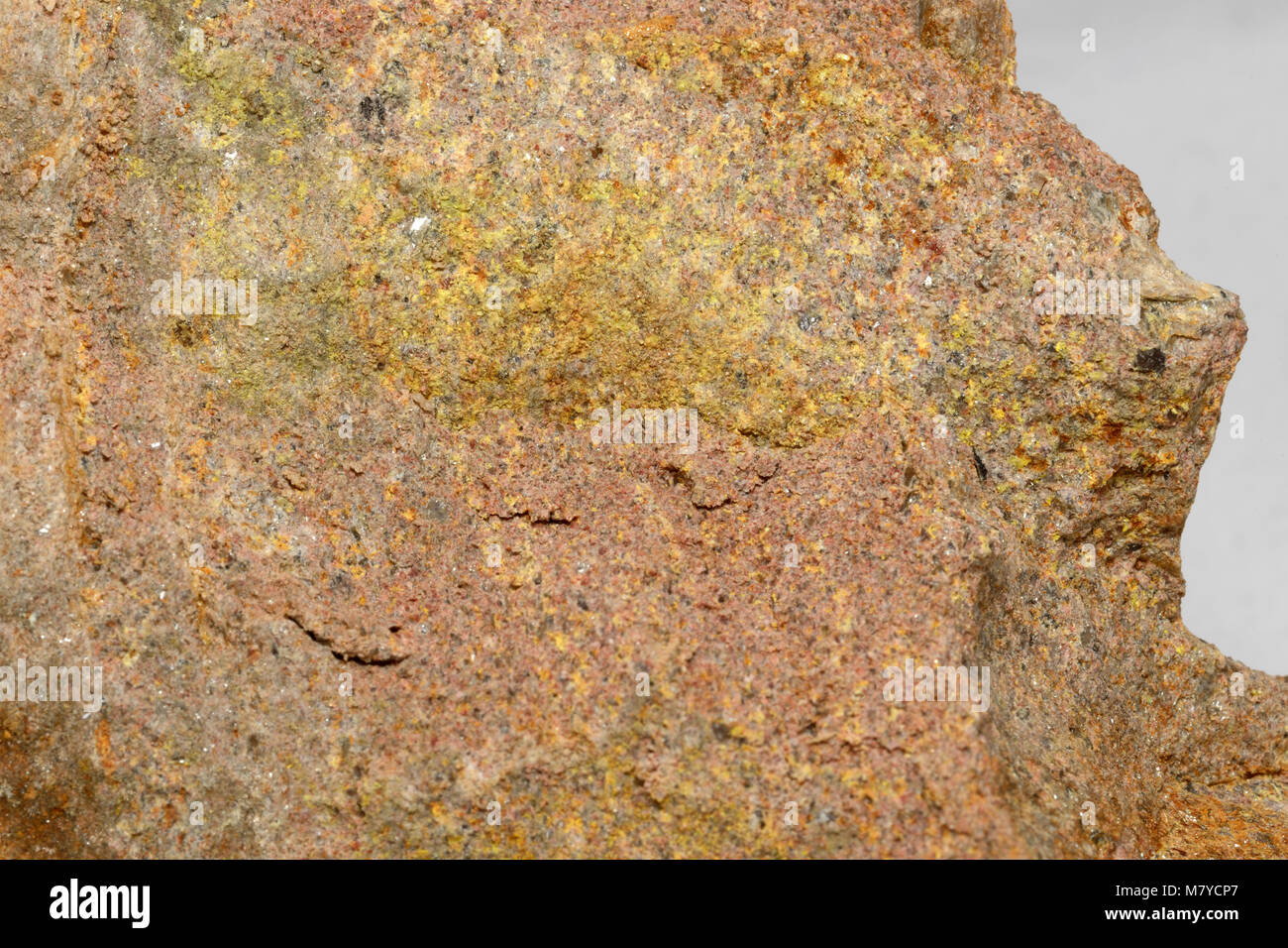 Ein Muster des autonite, Uran, Kupfer, Phosphat in seine mineralischen kristalline Form, von der unteren Buller Gorge, Neuseeland Stockfoto
