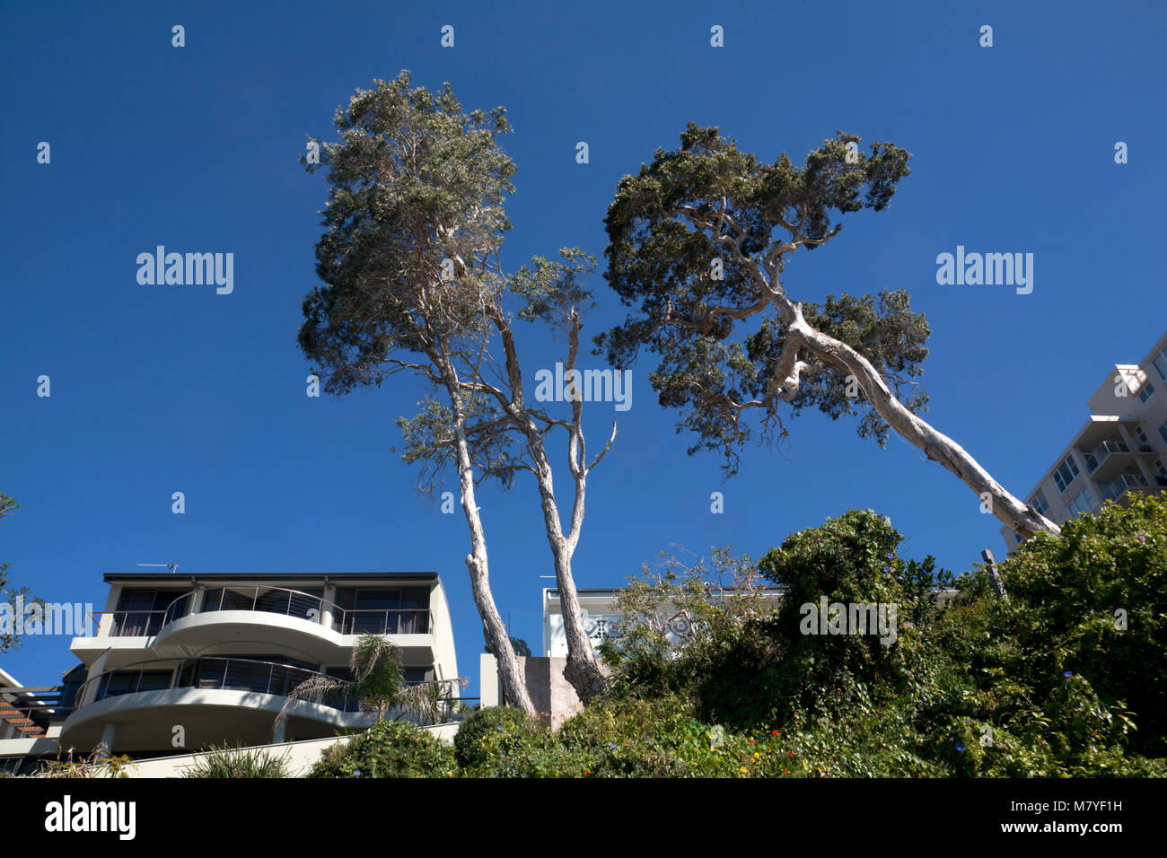 Haus Cabbage Tree Bay Manly Sydney New South Wales, Australien Stockfoto