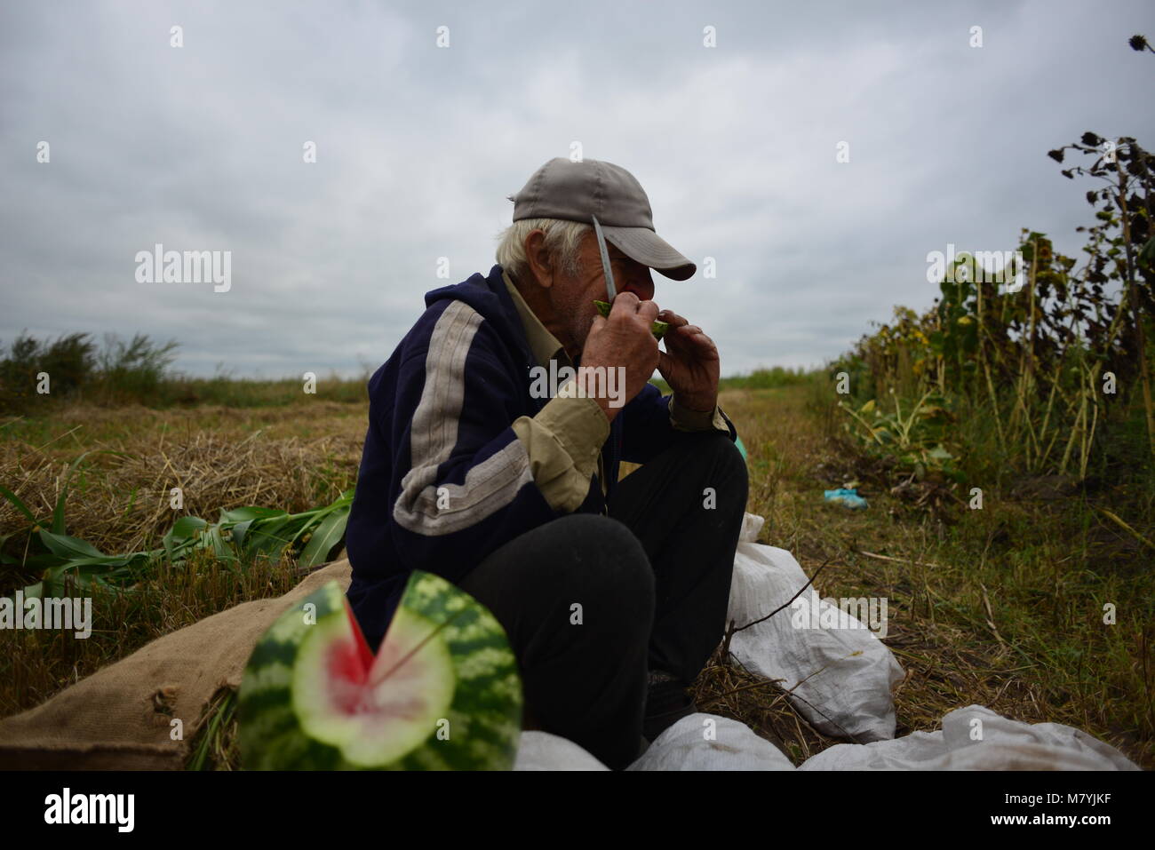 Ein alter Mann, der seinen lanch (Wassermelone), die Arbeit an seinem Garten Stockfoto