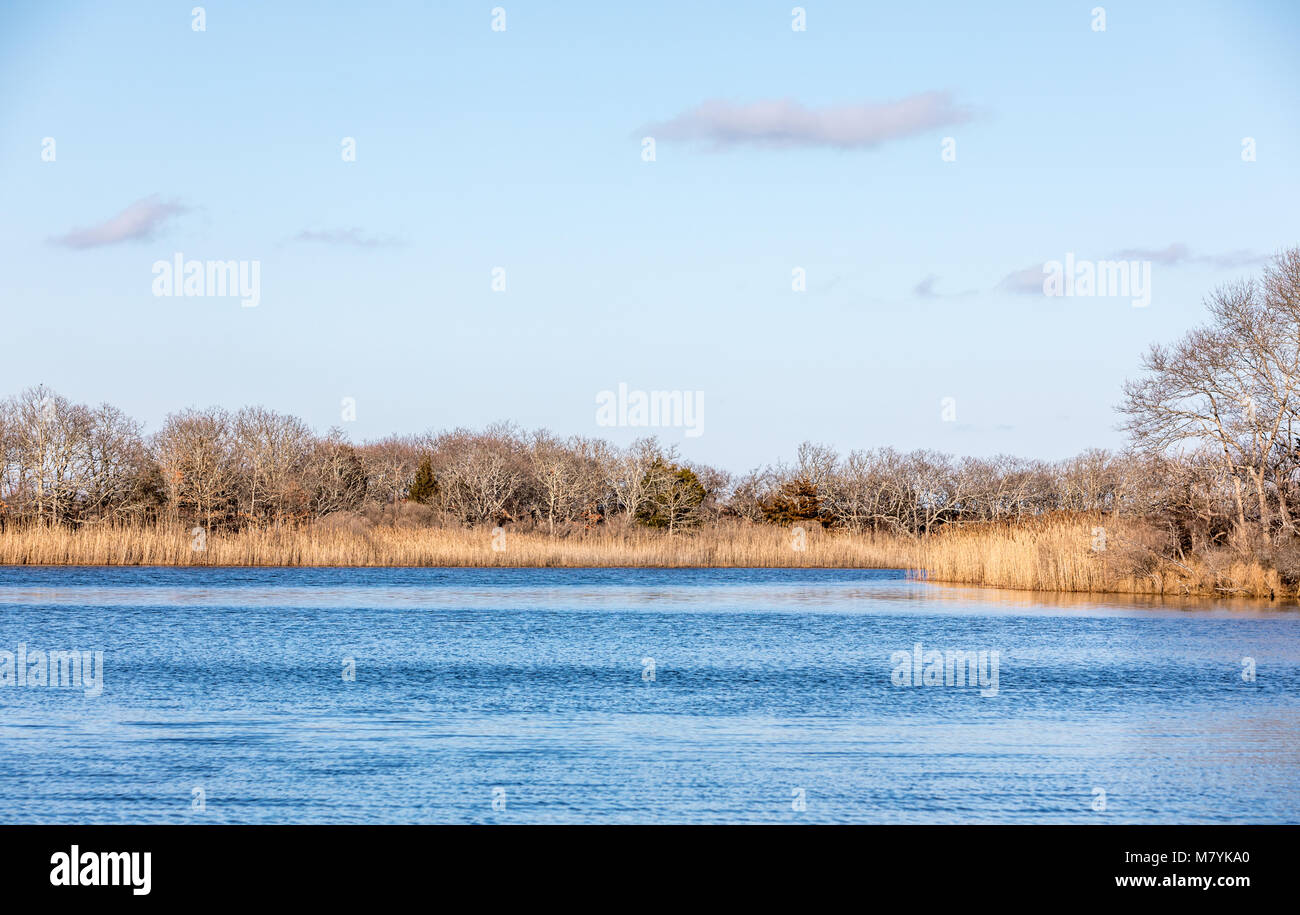 Frische kleine Teich in East Hampton, New York Stockfoto