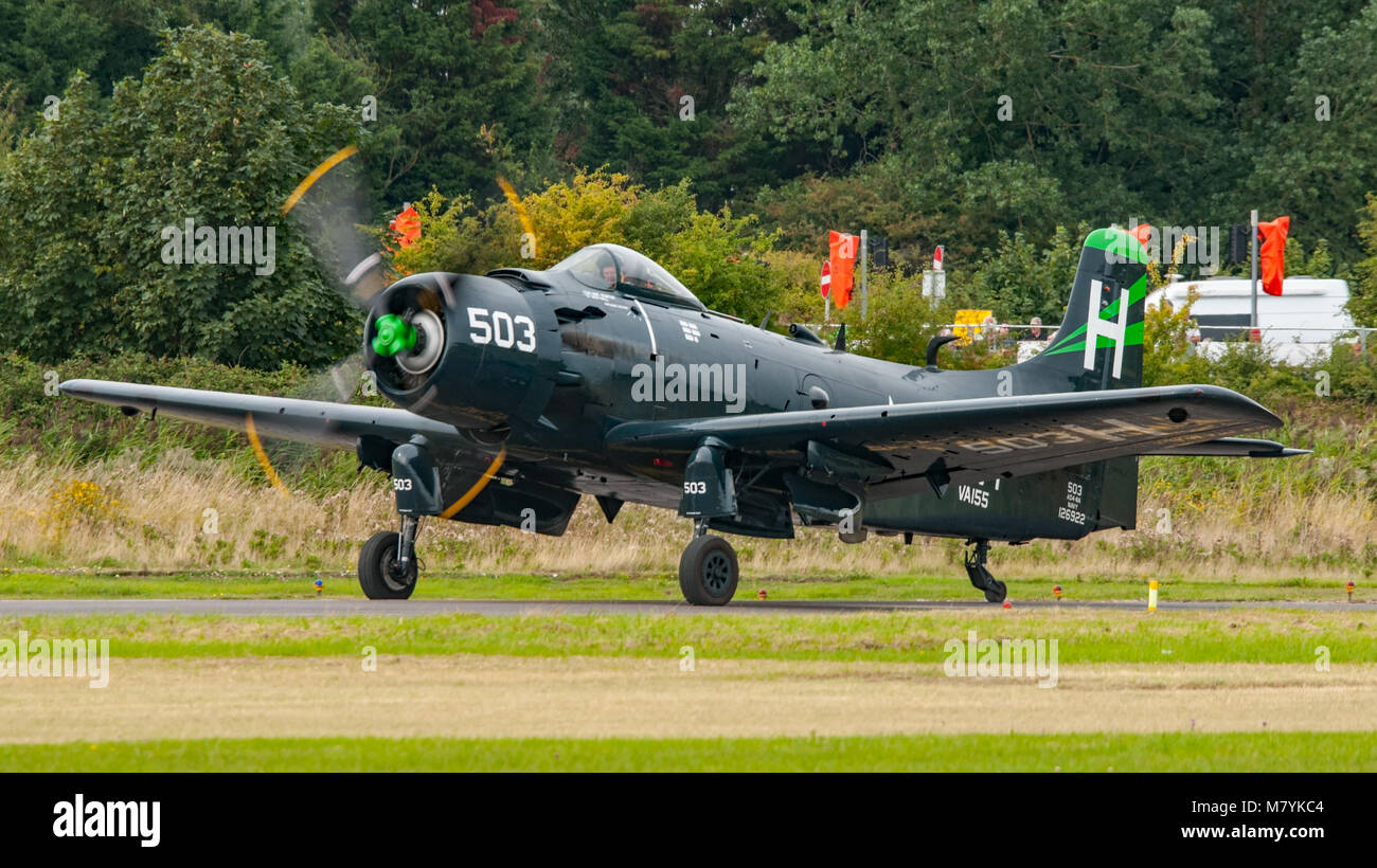Vintage Douglas Skyraider AD-4 NA von Kennett Luftfahrt in United States Navy livery im Shoreham Airshow, UK am 1. September 2013. Stockfoto
