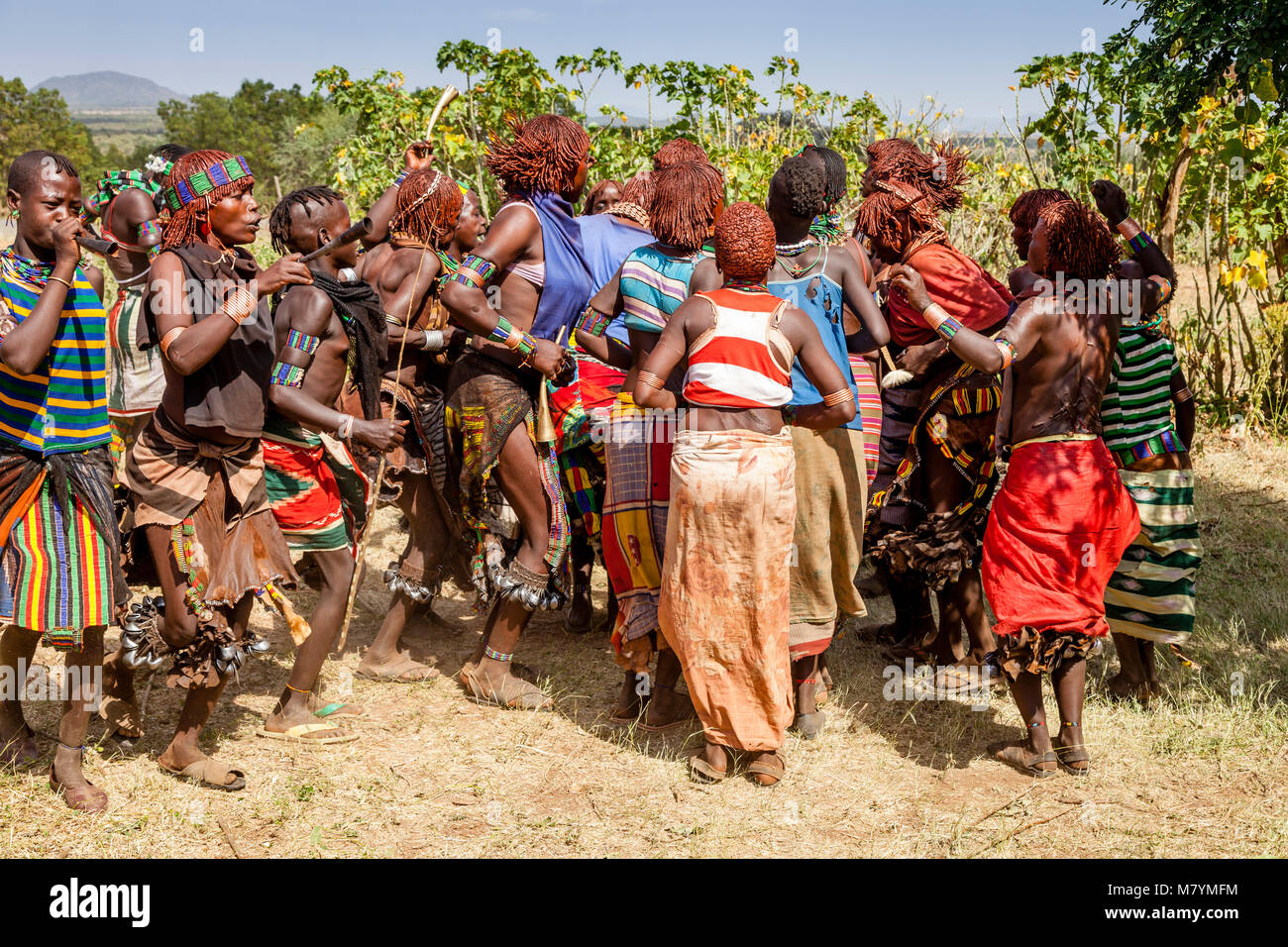 Junge Hamar Frauen tanzen an einen Stier springen Zeremonie, Dimeka, Omo Valley, Äthiopien Stockfoto