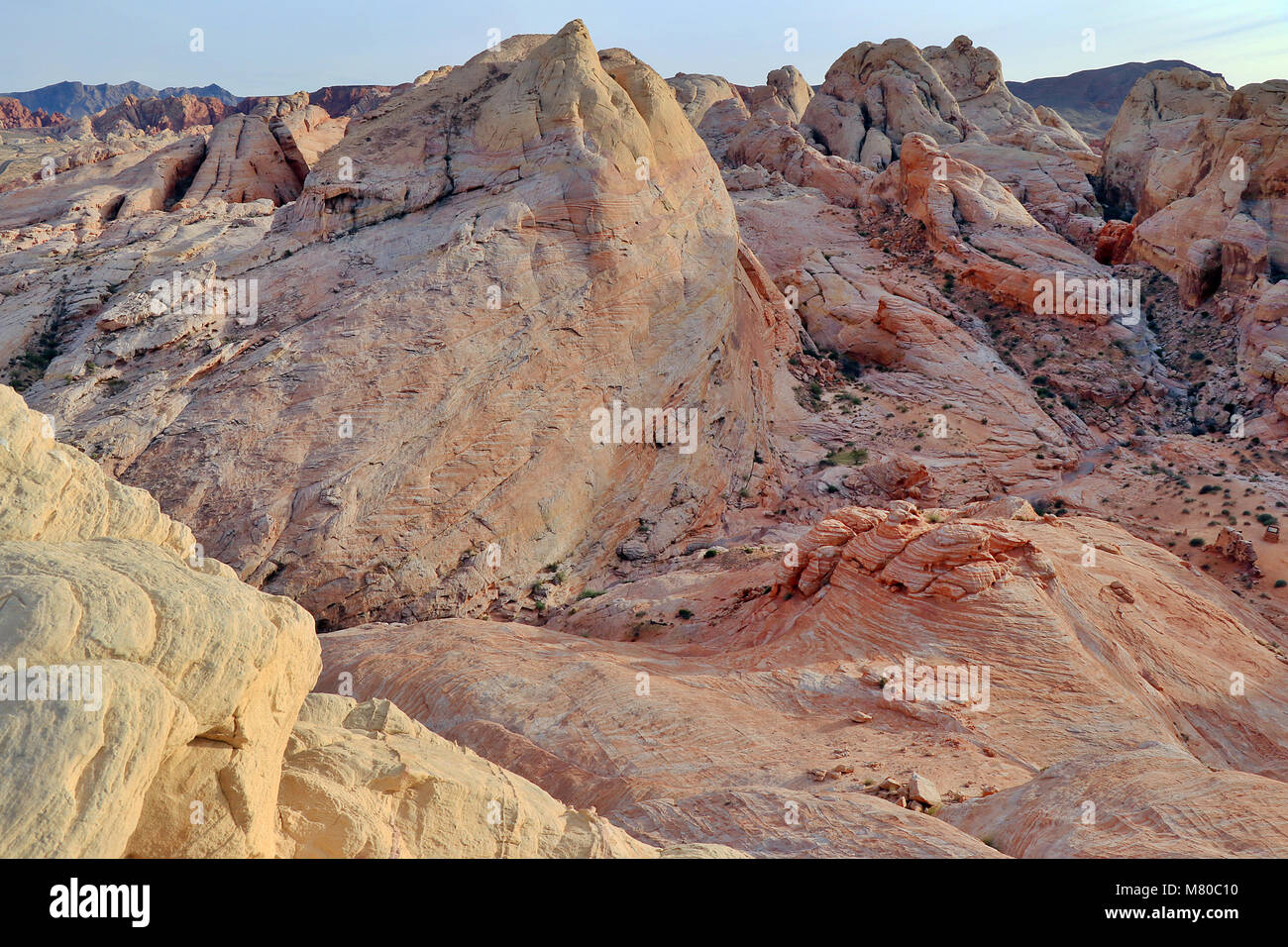 Weißen Kuppeln Felsen im Valley of Fire State Park am Rande von Las Vegas, Nevada, in den USA. Stockfoto