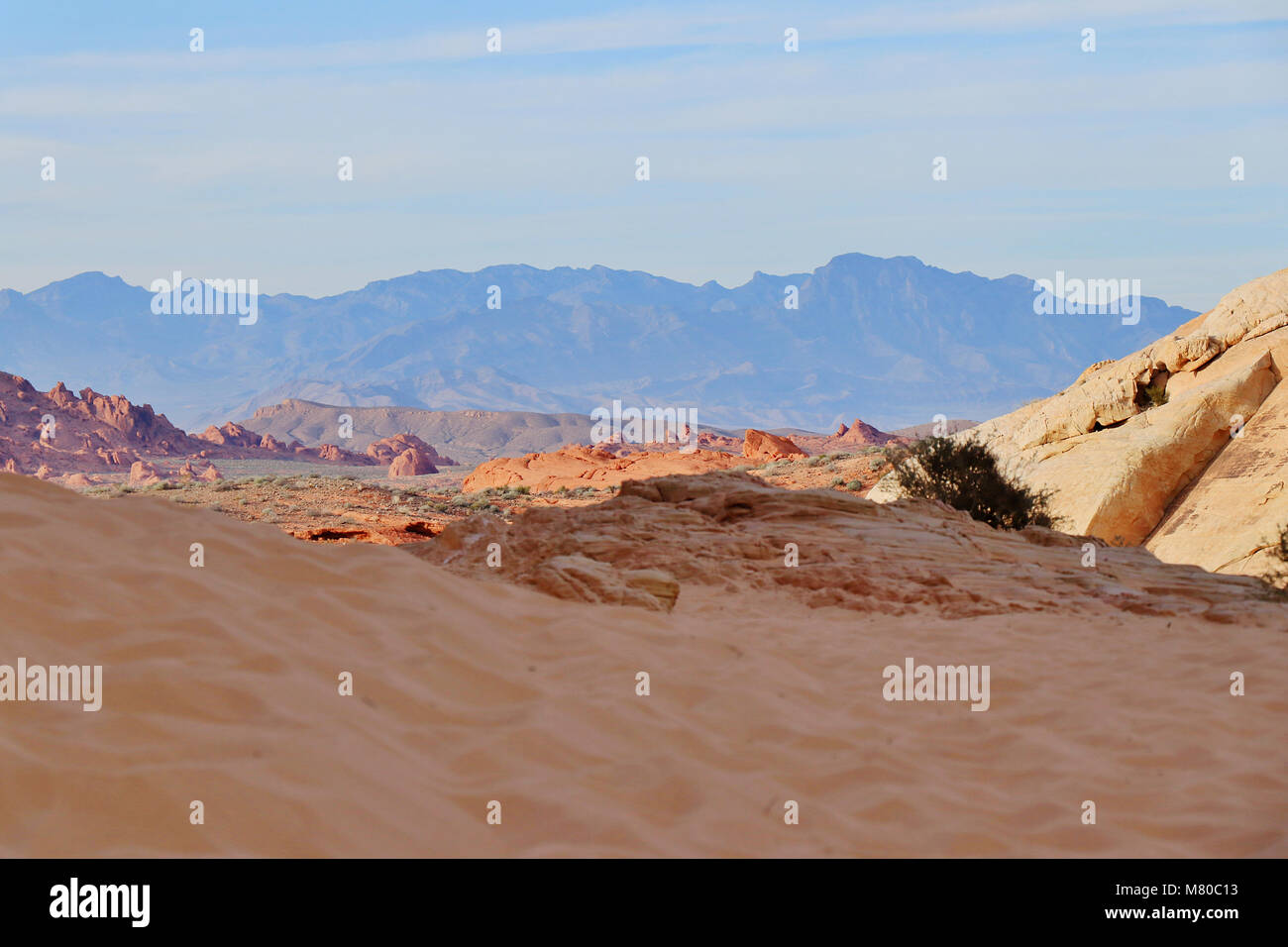 Desert sand an der weißen Kuppeln der Valley of Fire State Park am Rande von Las Vegas, Nevada, in den USA. Stockfoto