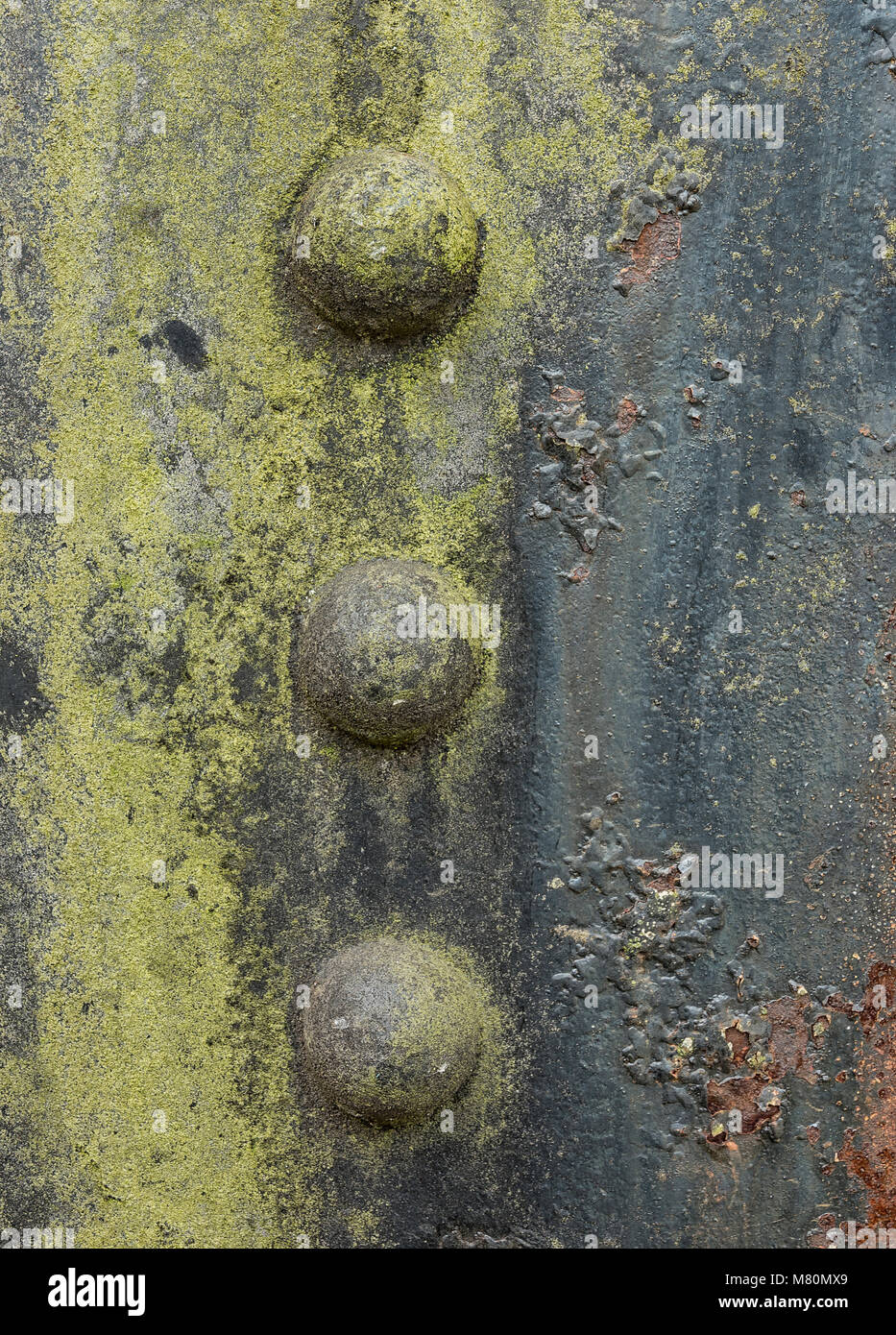 Verrosteten Schraubenköpfe auf Metall mit grünen Algen, die den Farben hinzufügen Stockfoto