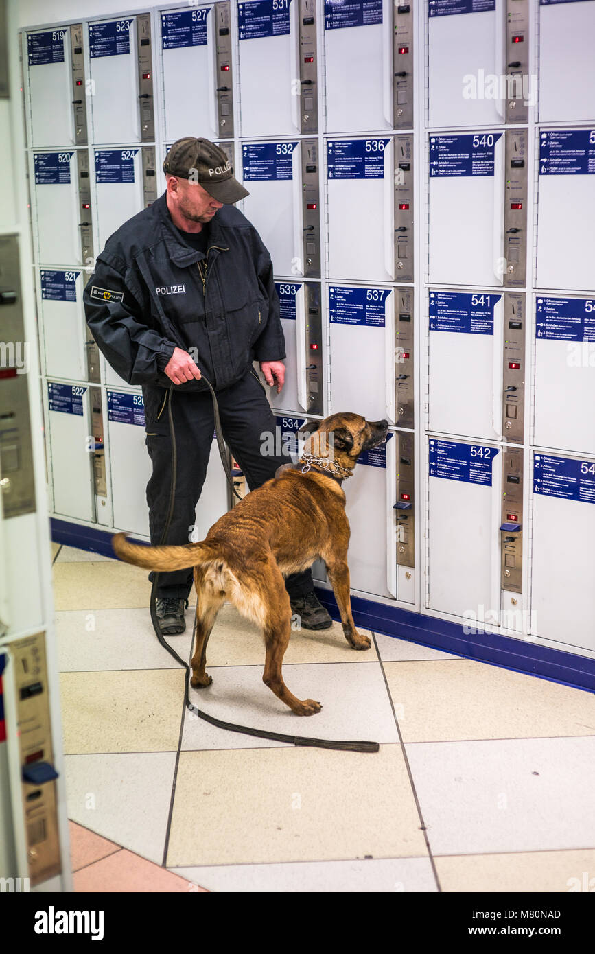 Die Ausbildung der Polizei Hund, Hauptbahnhof Nürnberg Hauptbahnhof Nürnberg, Bayern, Deutschland, Europa. Stockfoto