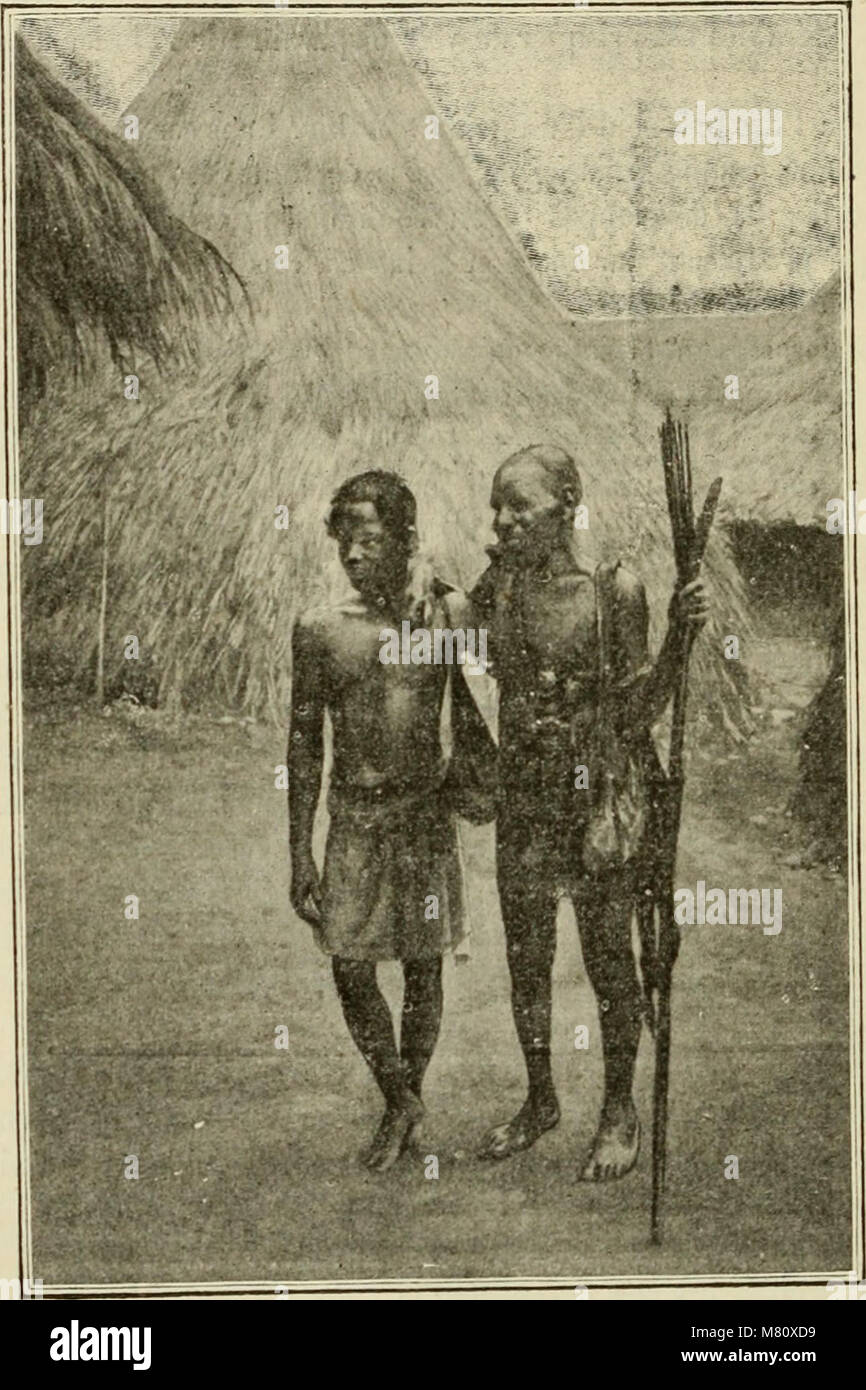 Das Bulletin des National Museum of Natural History, das von 1895 bis 1970 reicht, deckt ein breites Spektrum von Themen der Naturgeschichte ab, darunter Flora, Fauna, Geologie und Paläontologie. Stockfoto