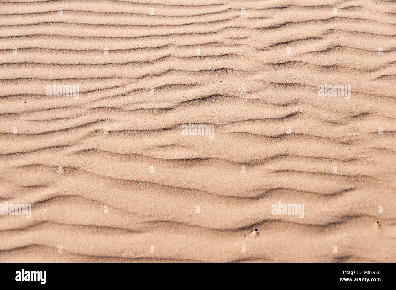 Oceano Dunes State Vehicular Recreation Area in Kalifornien Stockfoto