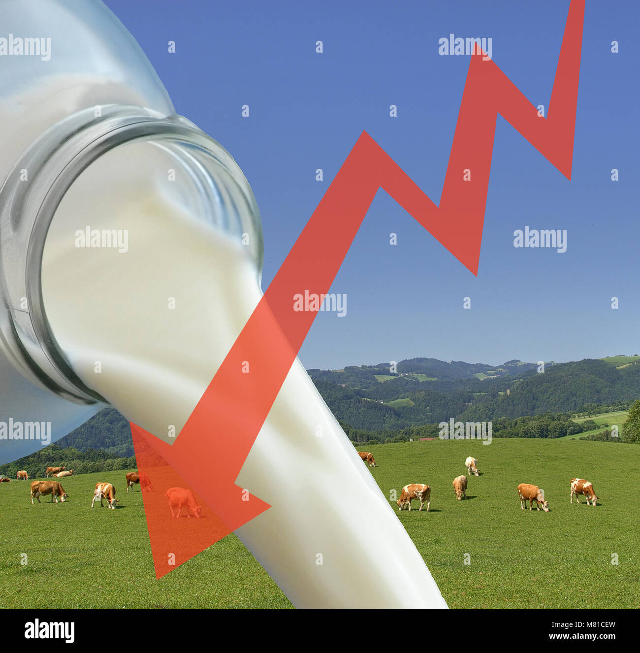 Milchpreise 13. Stockfoto
