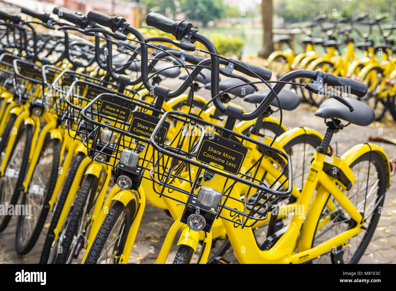 PHUKET, Thailand - Januar 13, 2018: Das gelbe Fahrräder parken im Park für die smart City Projekt verwaltet von Regierung und Unterstützung durch Ofo bicy Stockfoto