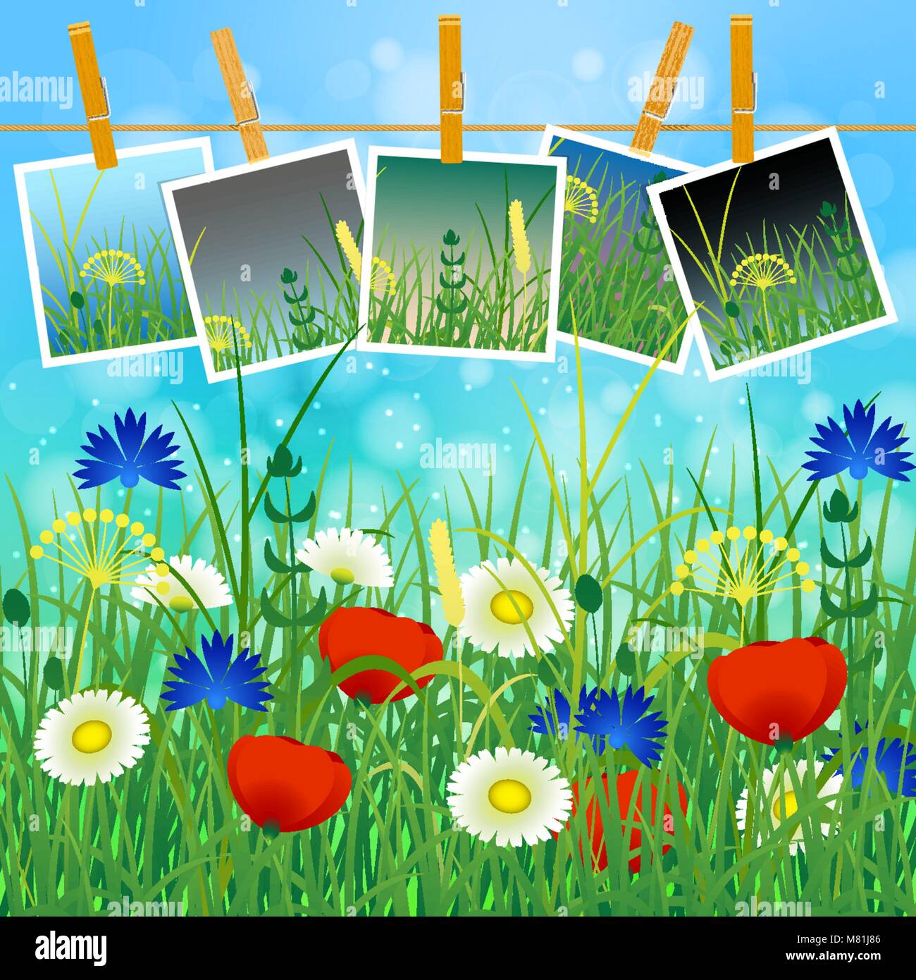 Konzept Sommer. Himmel, Blur, Wiese mit Kräutern und Blumen. Sommer Fotos auf Wäscheklammern auf einem Seil. Sie können Ihre Fotos einfügen Stock Vektor