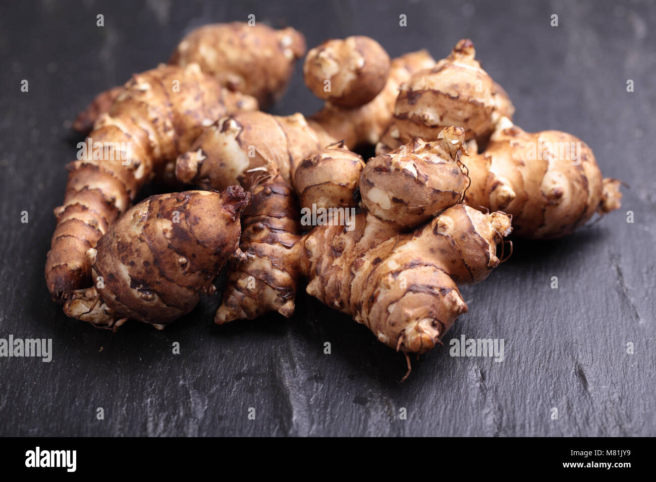 Rohe Topinambur auf schwarzem Schiefer Oberfläche Stockfoto