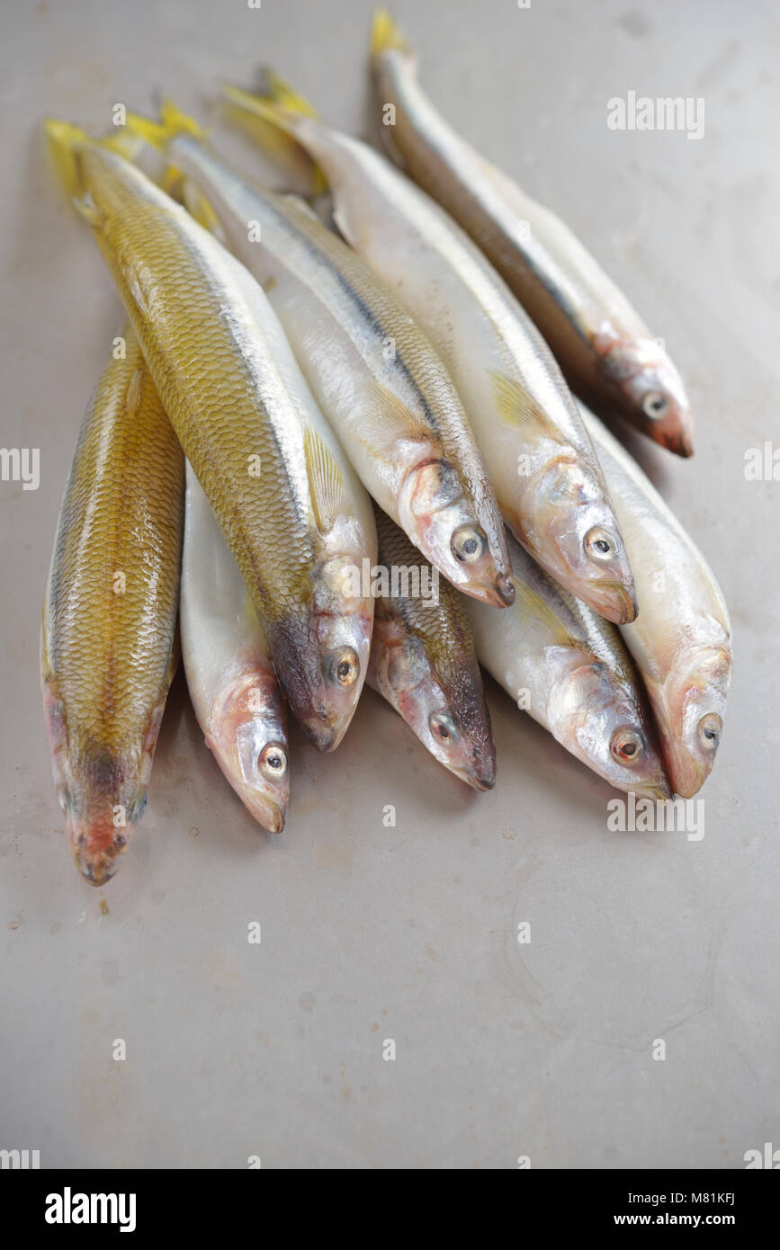 Raw roch Fische auf einem Tisch Stockfoto
