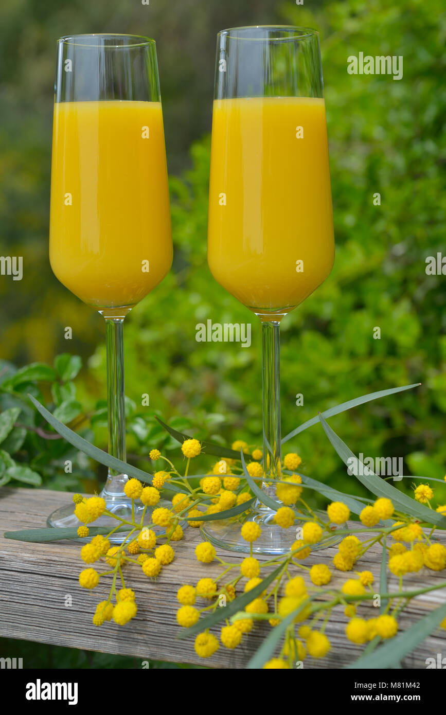 Zwei Gläser von Mimosa Cocktail im Freien gegen üppigem Laub Stockfoto