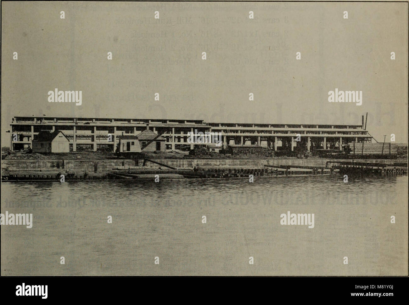 Dieser Bericht über die kanadische Forstindustrie von Januar bis Juni 1923 hebt die wichtigsten Entwicklungen in der Forstwirtschaft, der Holzproduktion und der Forstproduktbranche hervor. Sie enthält Daten über die Produktionsleistung der Industrie, die wirtschaftlichen Auswirkungen und Umweltaspekte. Stockfoto